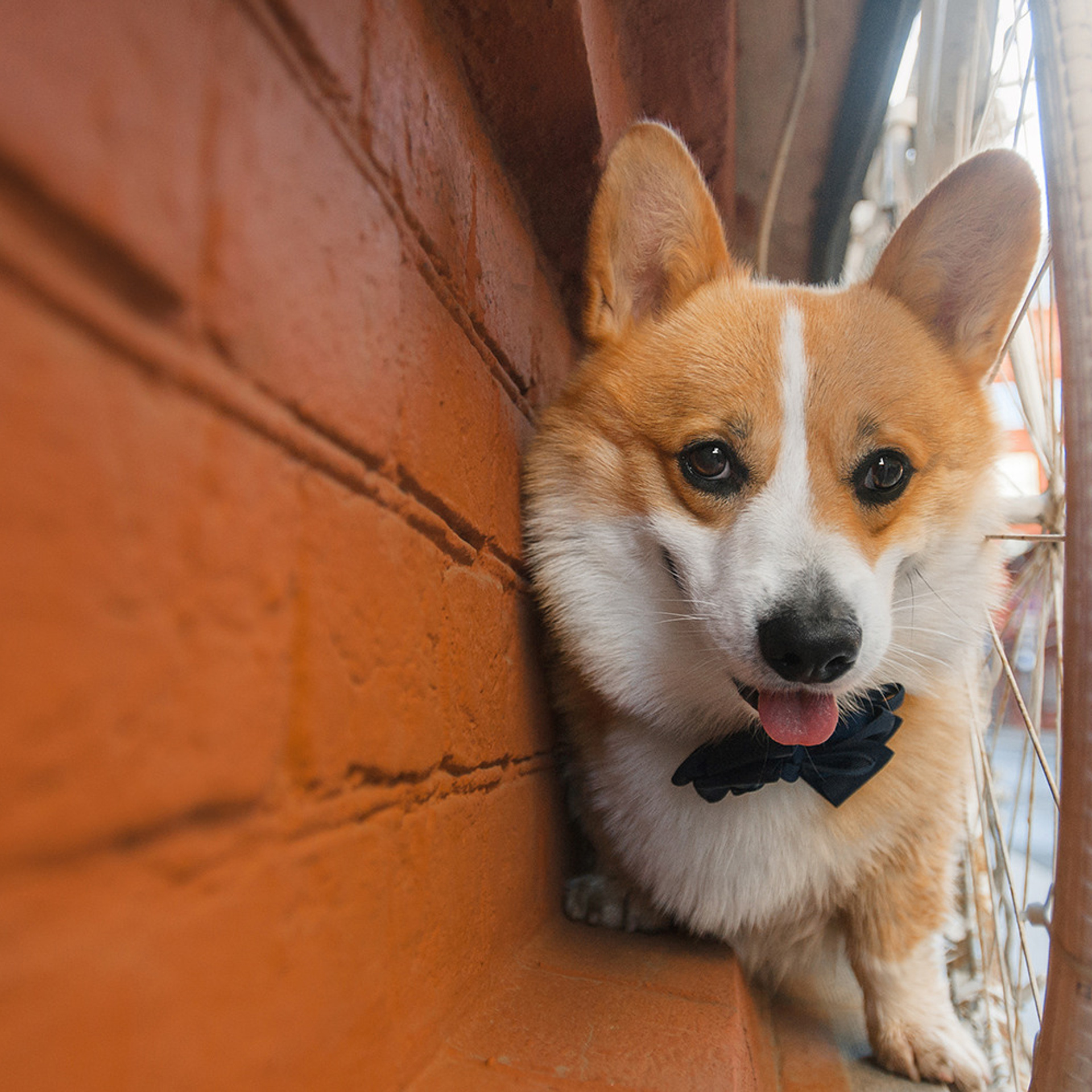 Тим, Ира и Тимур. Фотограф Анна Тюрина