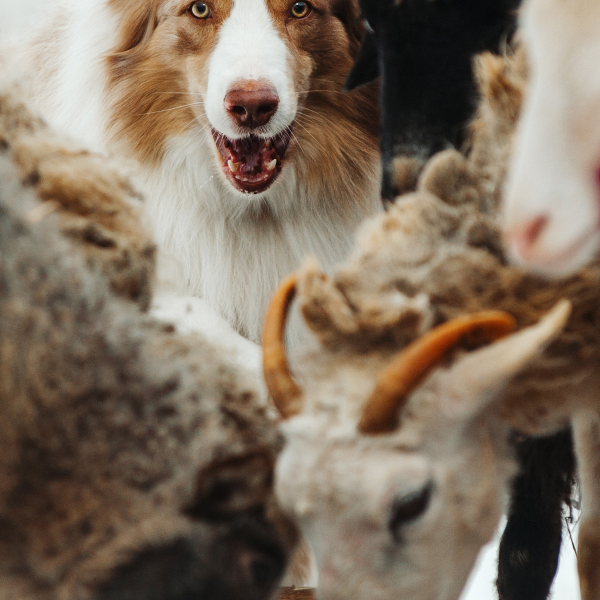 ПОРТФОЛИО. Фотограф Анна Тюрина