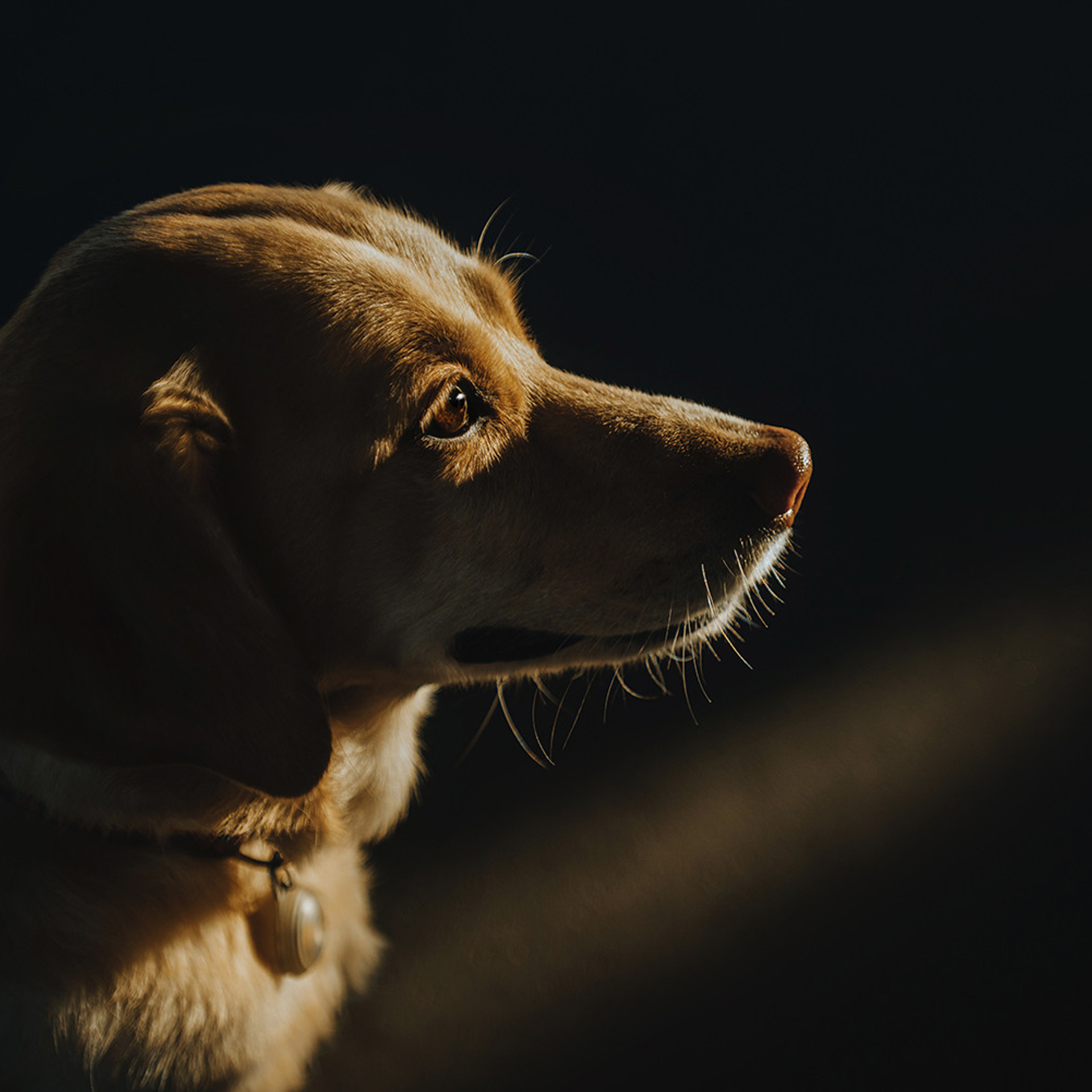 Катя и Фаня. Фотограф Анна Тюрина