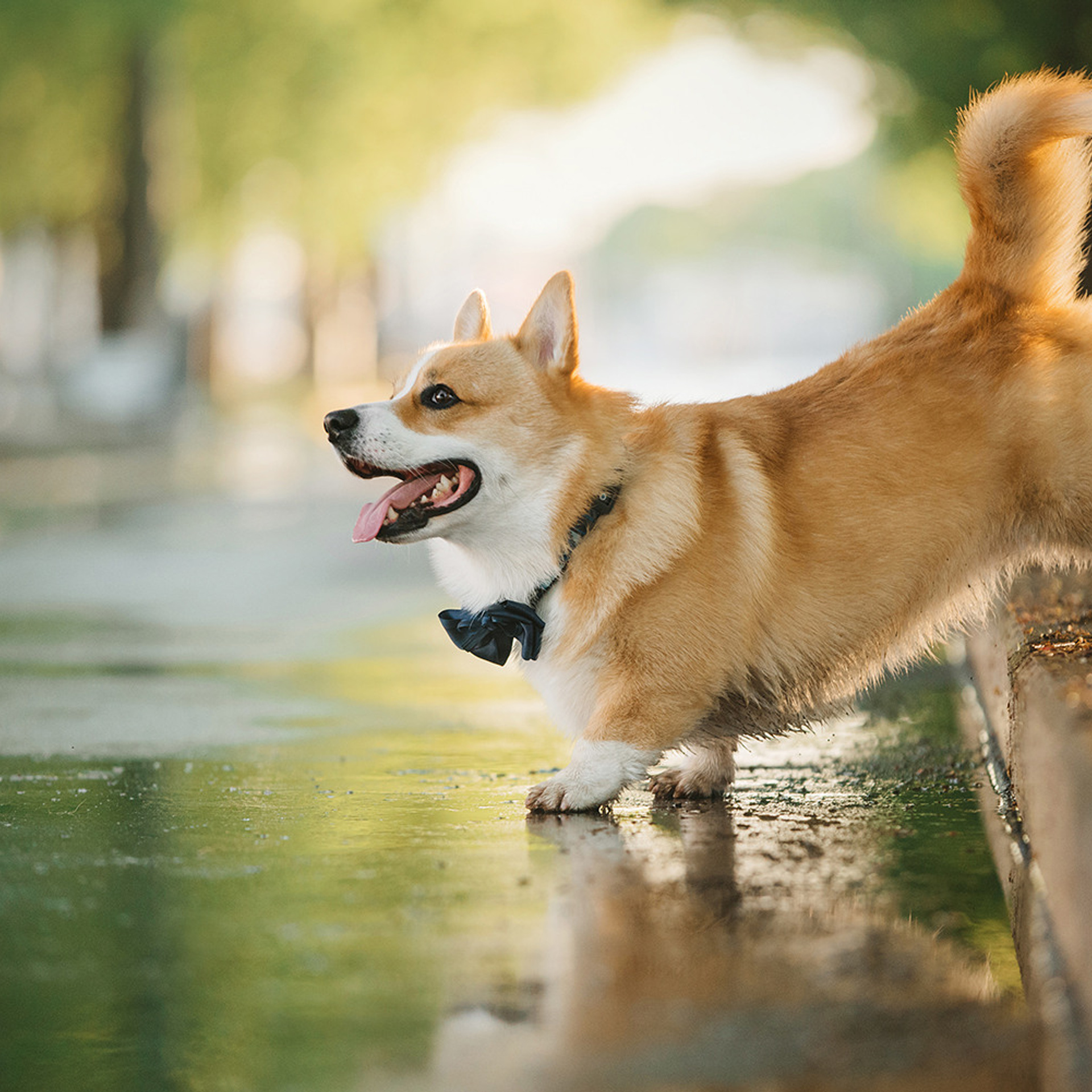 Тим, Ира и Тимур. Фотограф Анна Тюрина