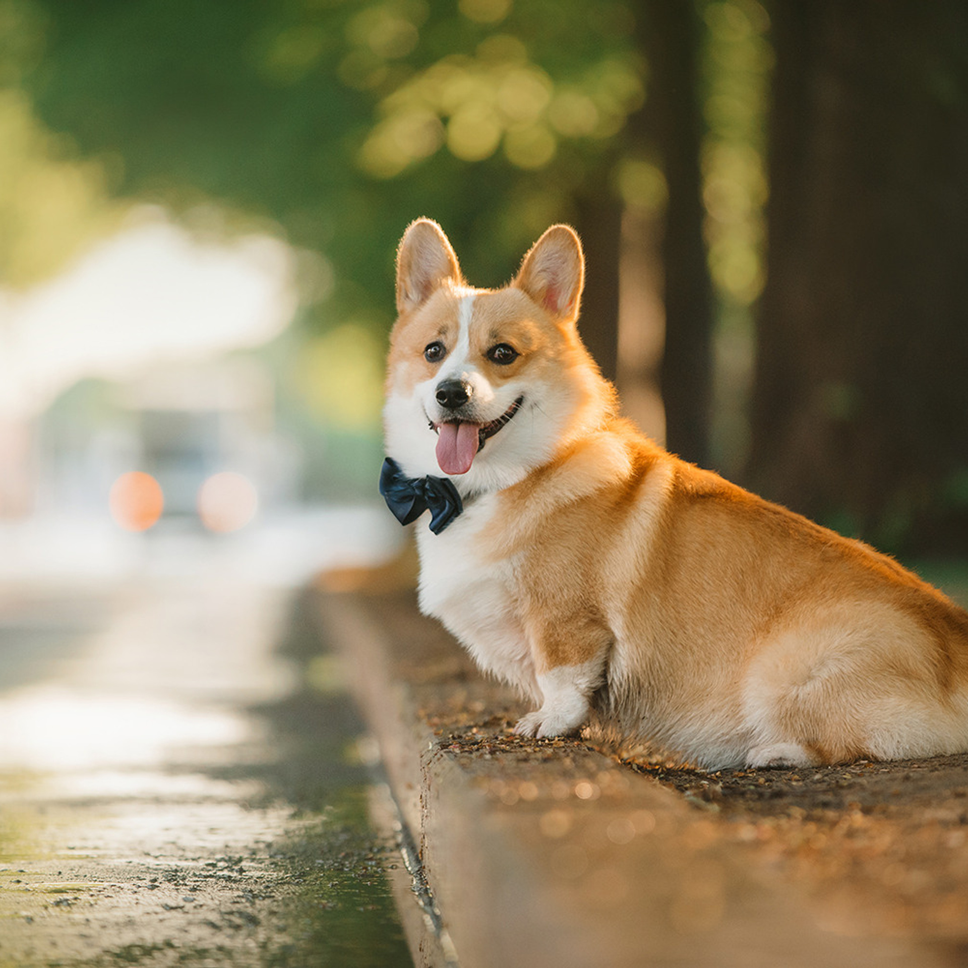 Тим, Ира и Тимур. Фотограф Анна Тюрина