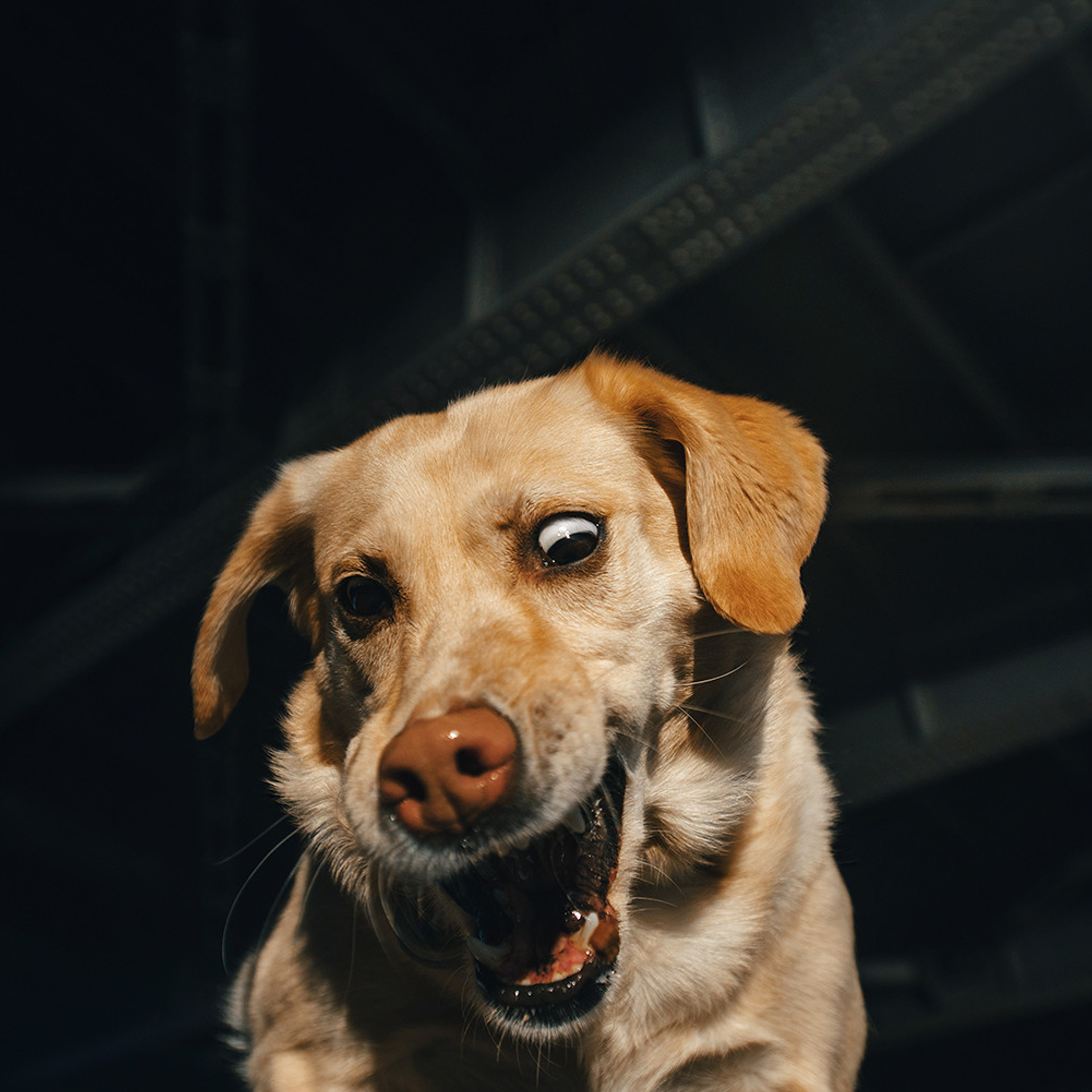 Катя и Фаня. Фотограф Анна Тюрина