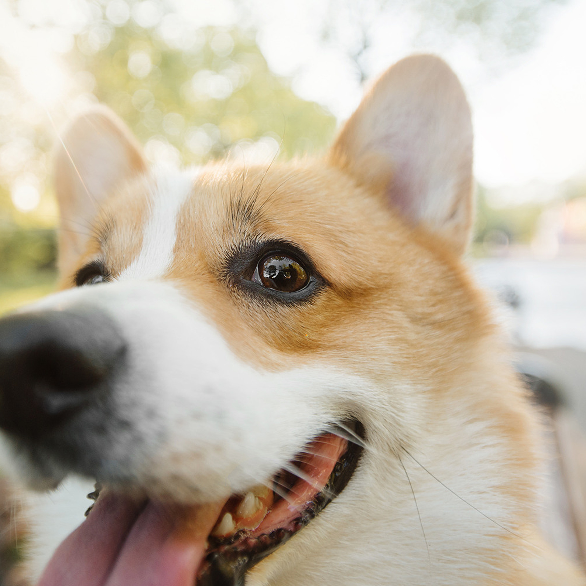 Тим, Ира и Тимур. Фотограф Анна Тюрина