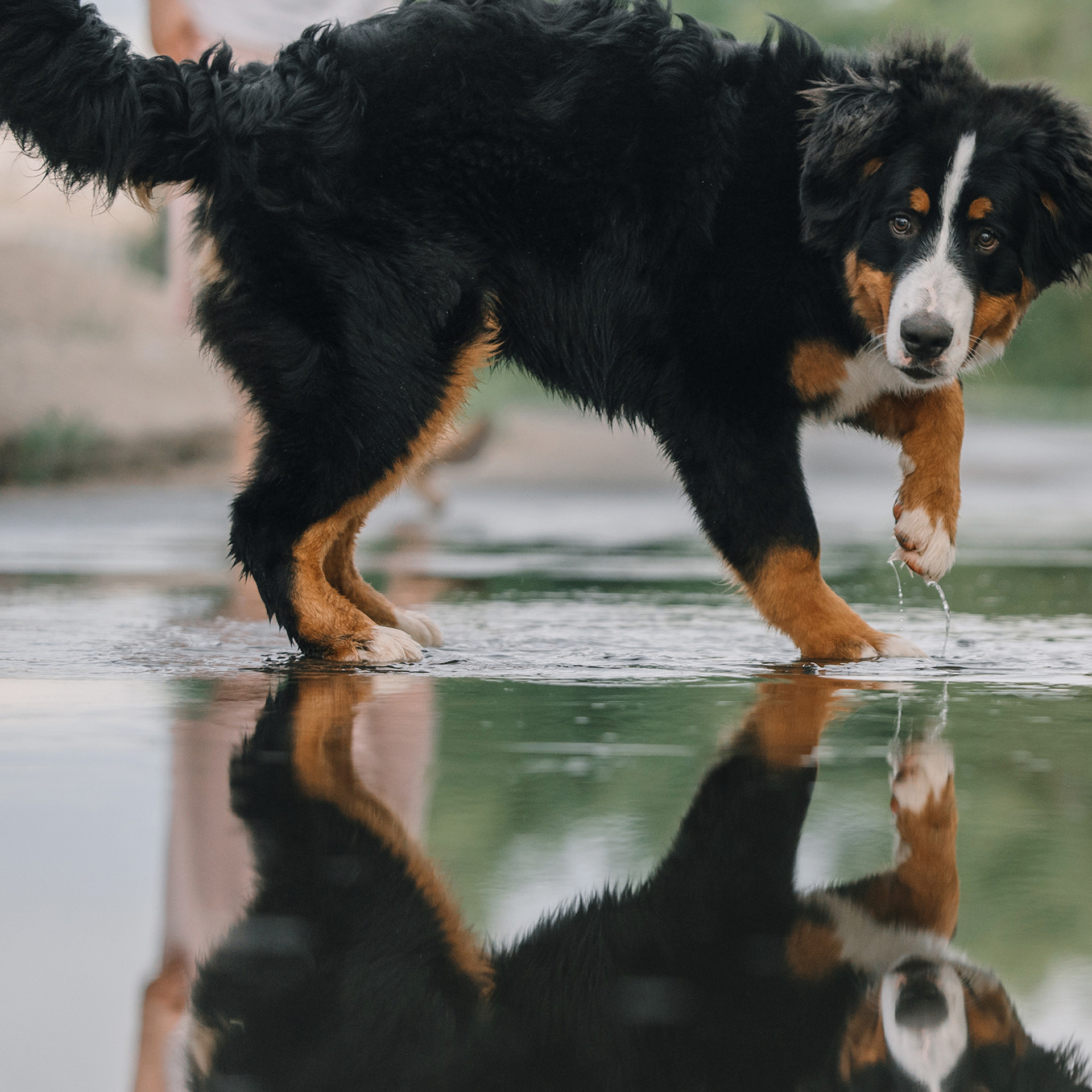 Оля и семья. Фотограф Анна Тюрина