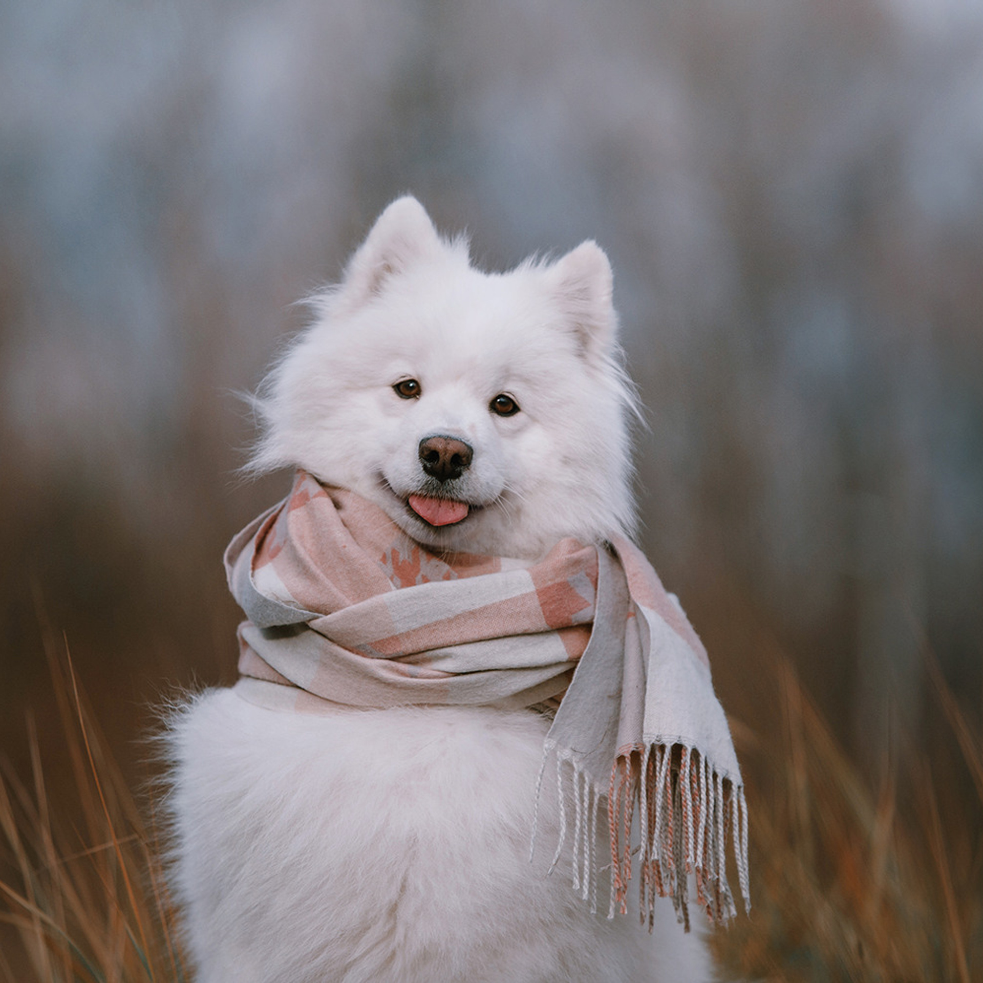 Елена и Эльза. Фотограф Анна Тюрина
