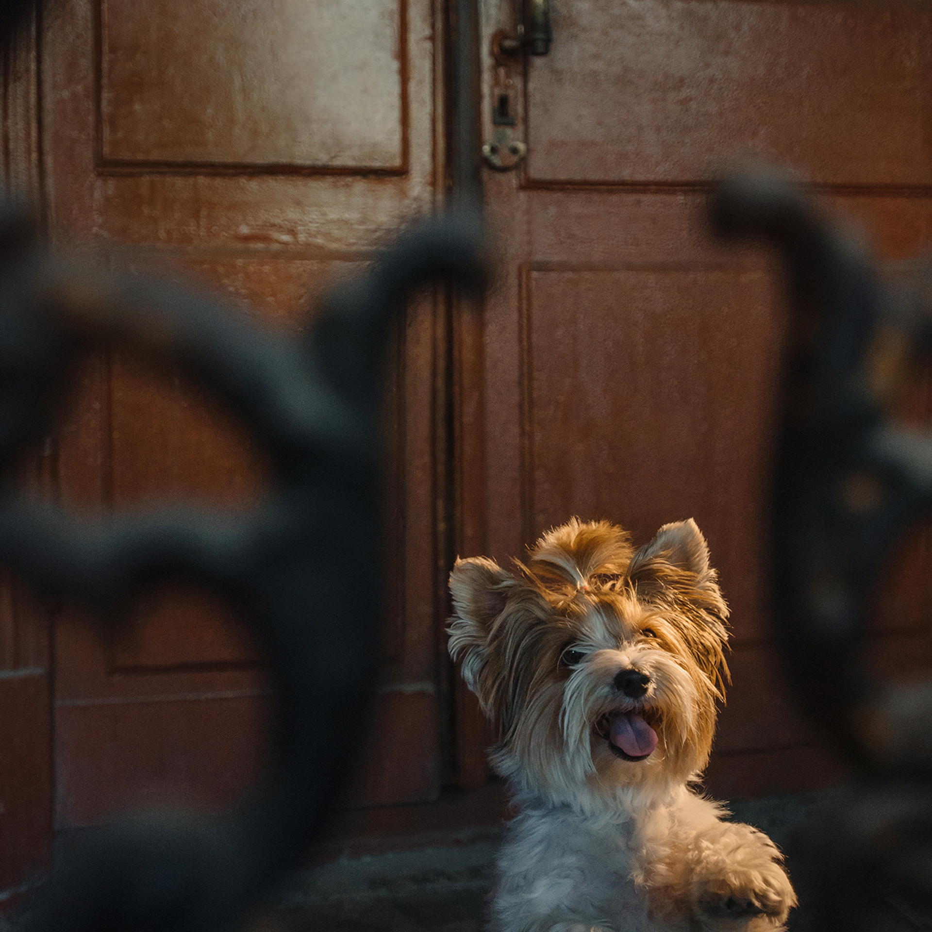 Алина и Яся. Фотограф Анна Тюрина