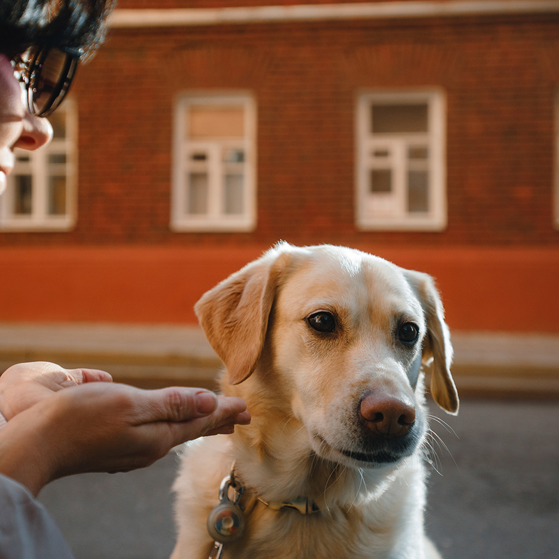 Катя и Фаня. Фотограф Анна Тюрина