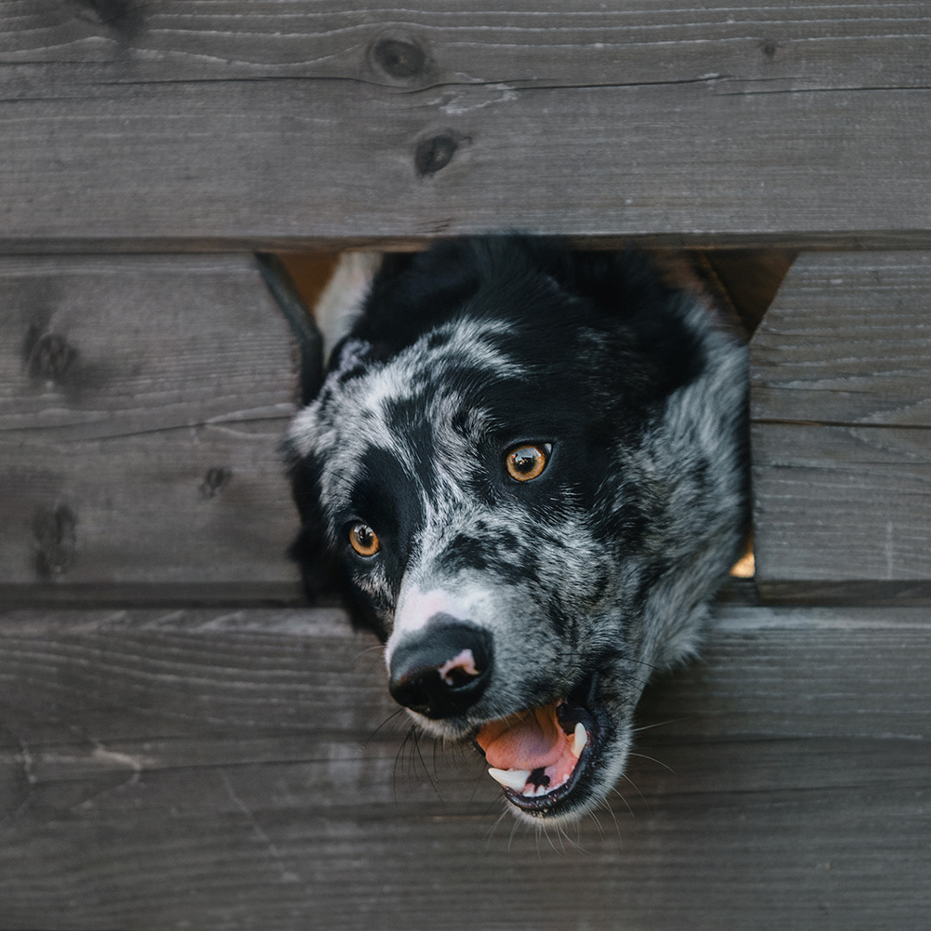 Наталья и Уран. Фотограф Анна Тюрина
