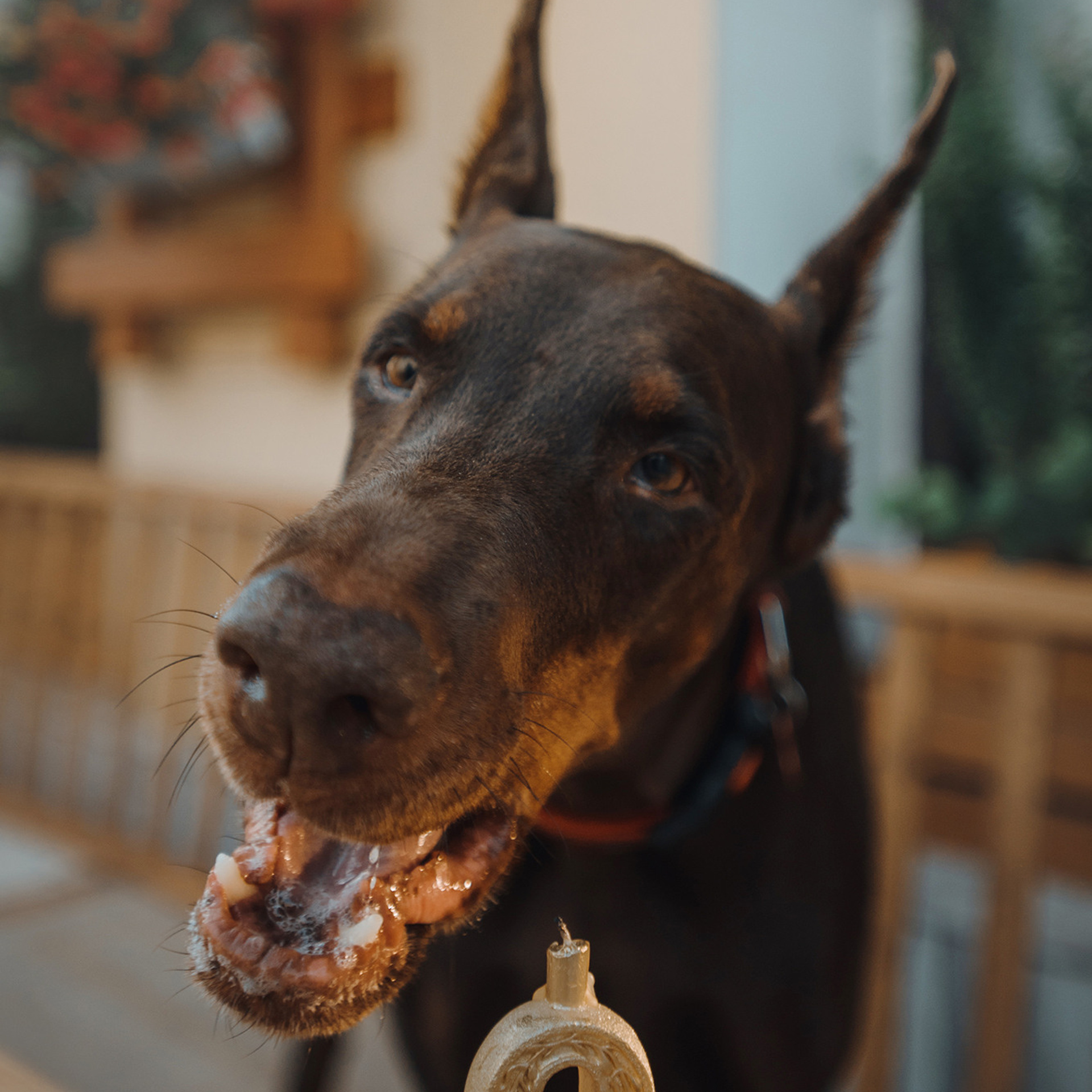 Алина, Линар и Детта в Нижнем Новгороде. Фотограф Анна Тюрина