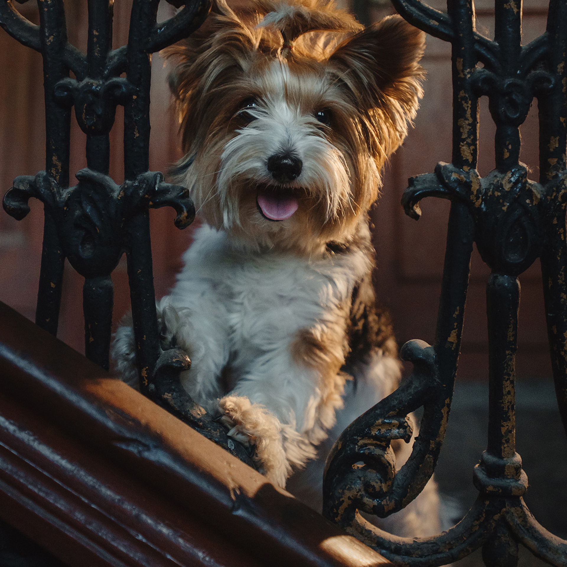 Алина и Яся. Фотограф Анна Тюрина