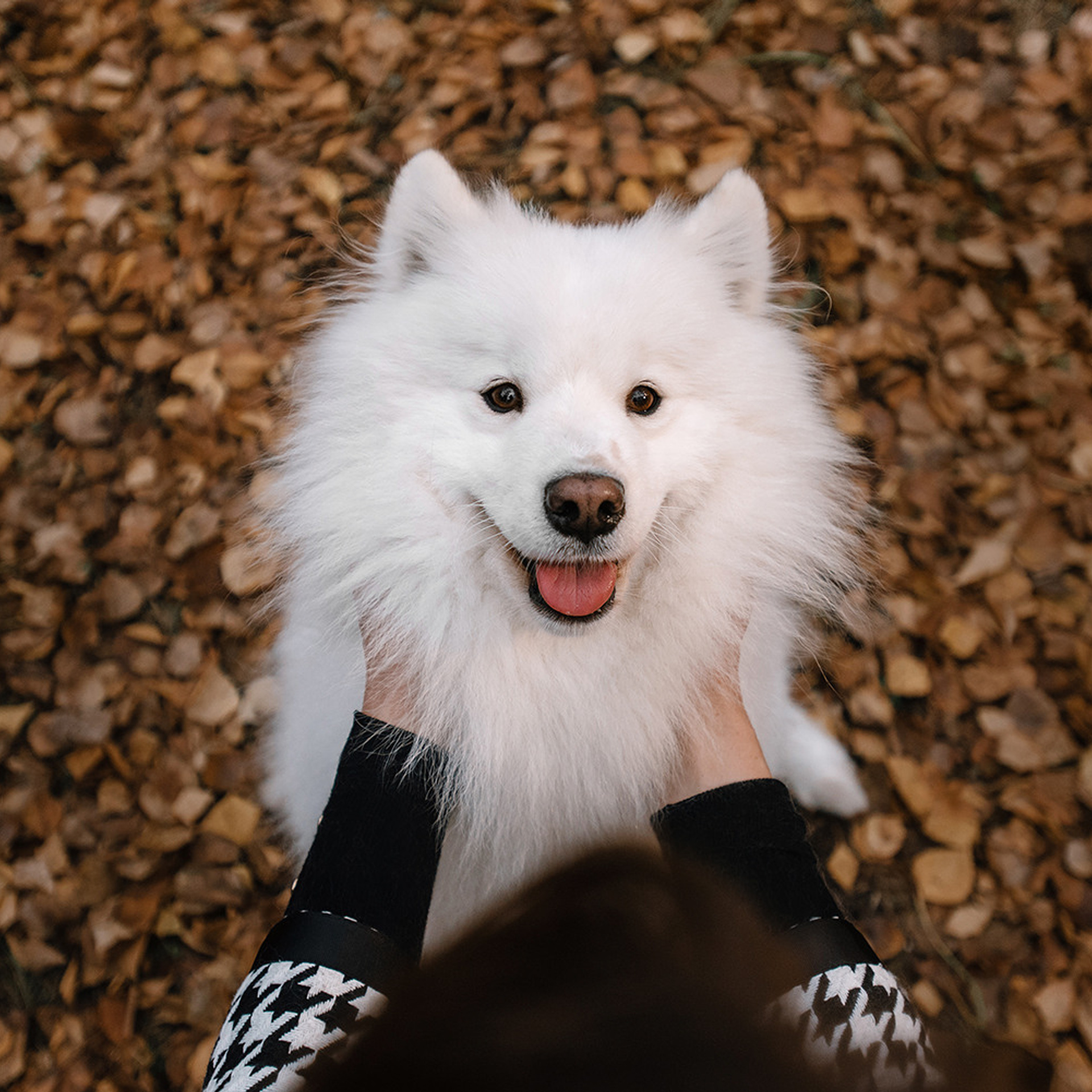 Елена и Эльза. Фотограф Анна Тюрина