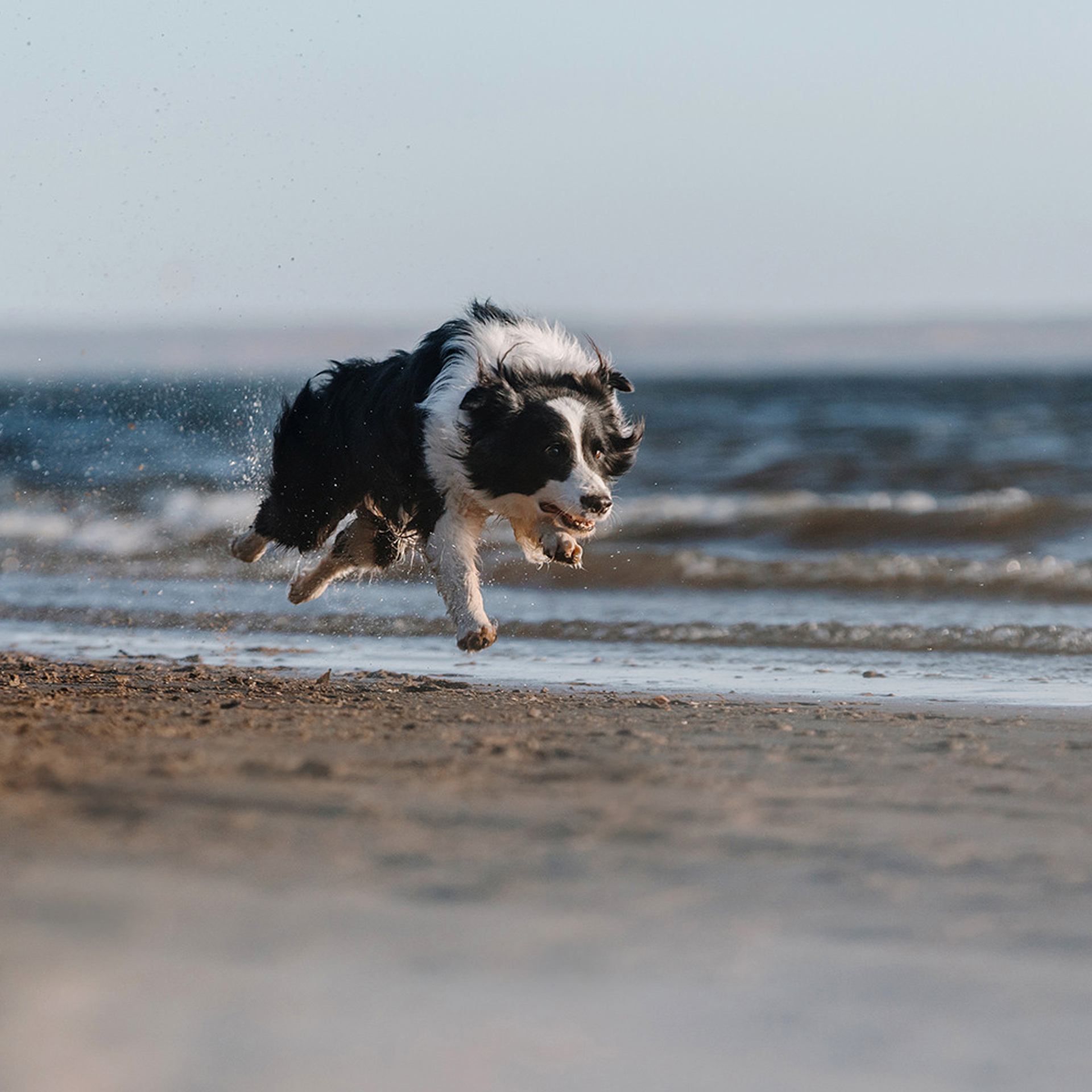Сева, Даша, Аса, Кит. Фотограф Анна Тюрина