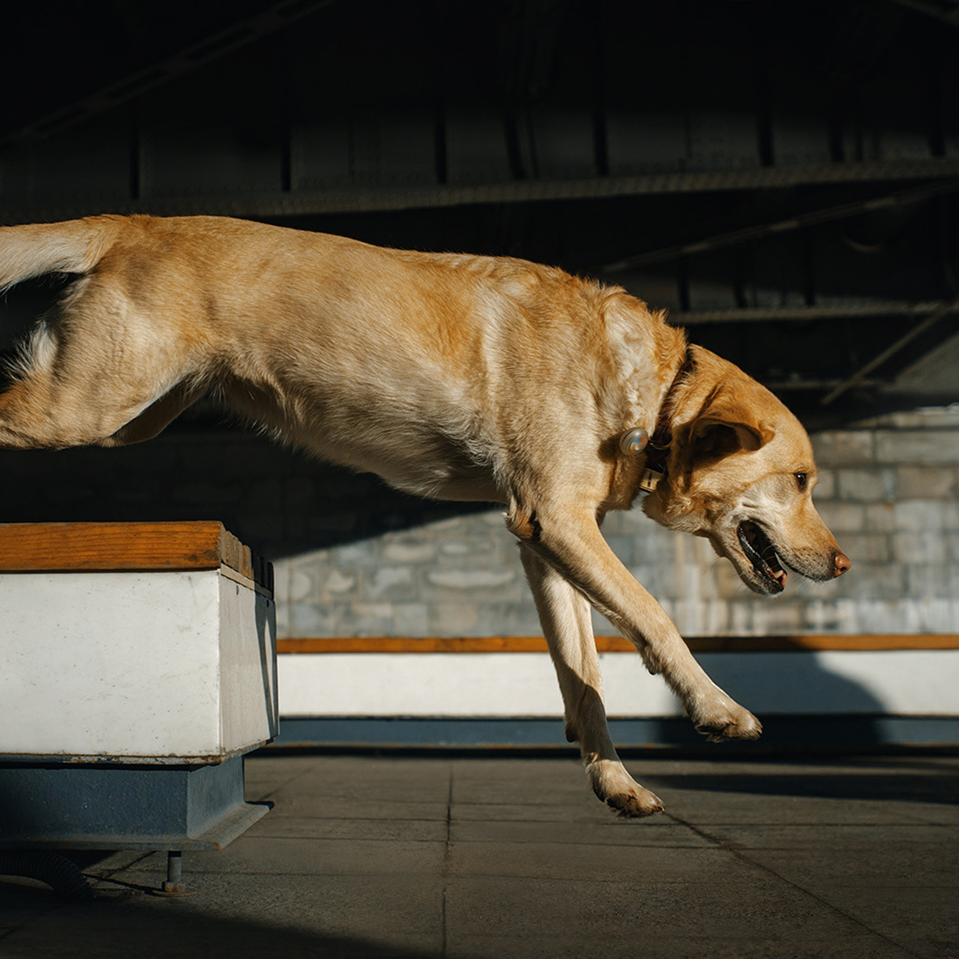 Катя и Фаня. Фотограф Анна Тюрина