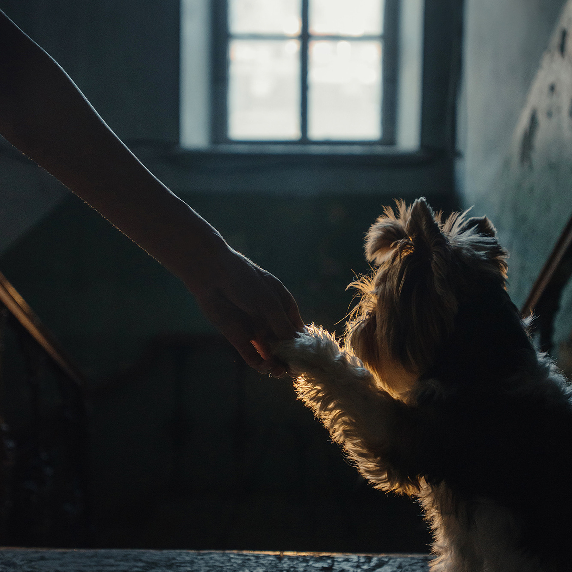 Алина и Яся. Фотограф Анна Тюрина