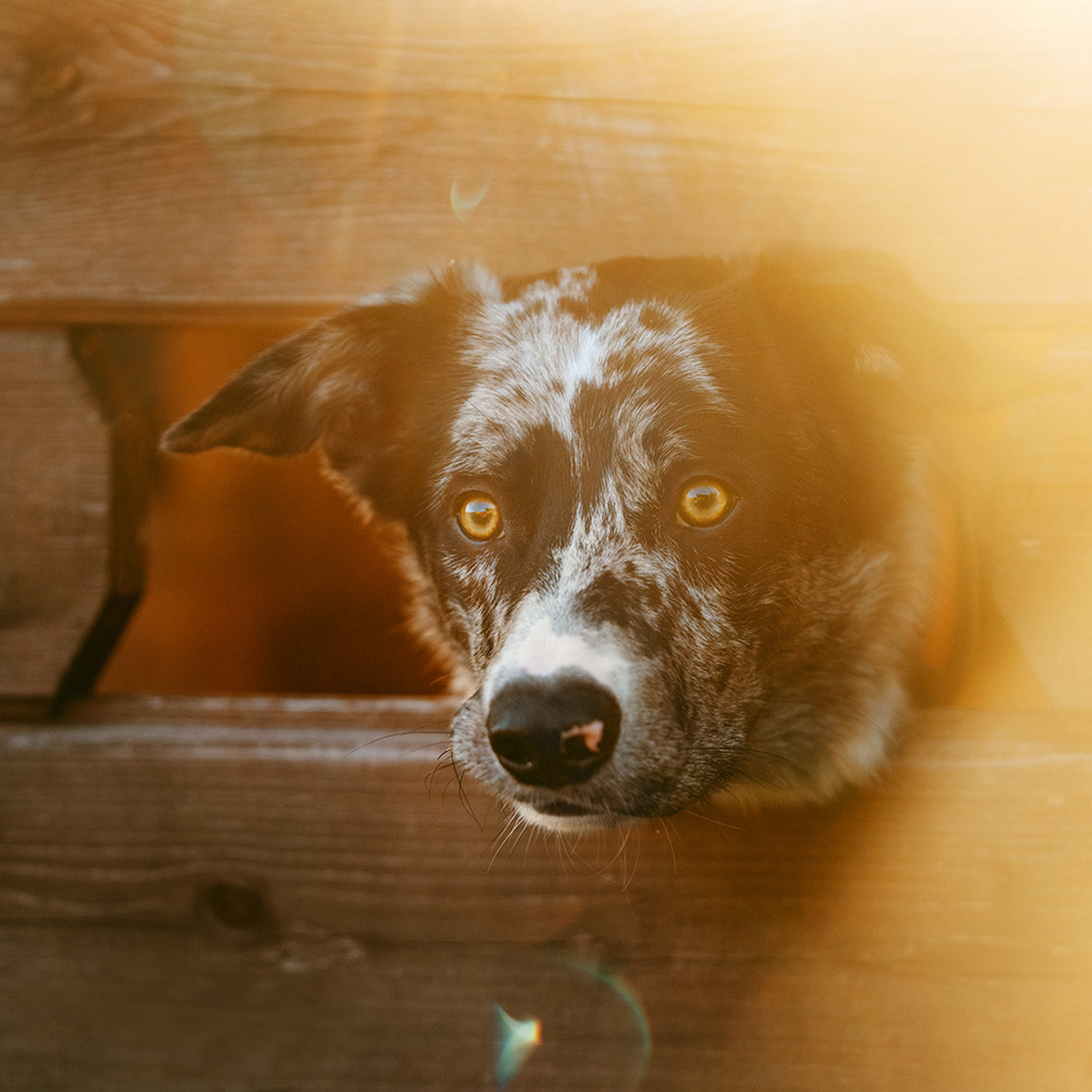 Наталья и Уран. Фотограф Анна Тюрина