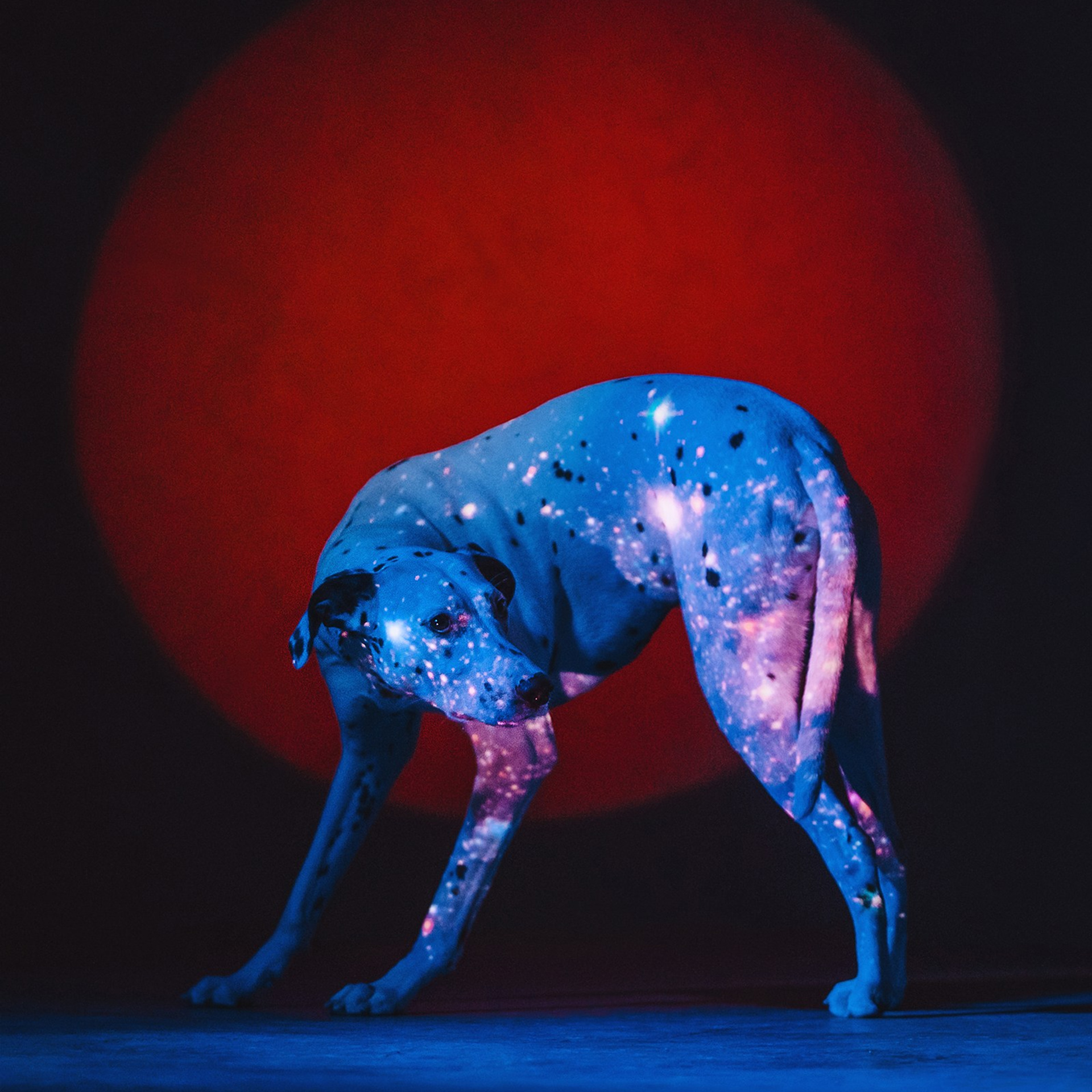 Чистое творчество. Фотограф Анна Тюрина