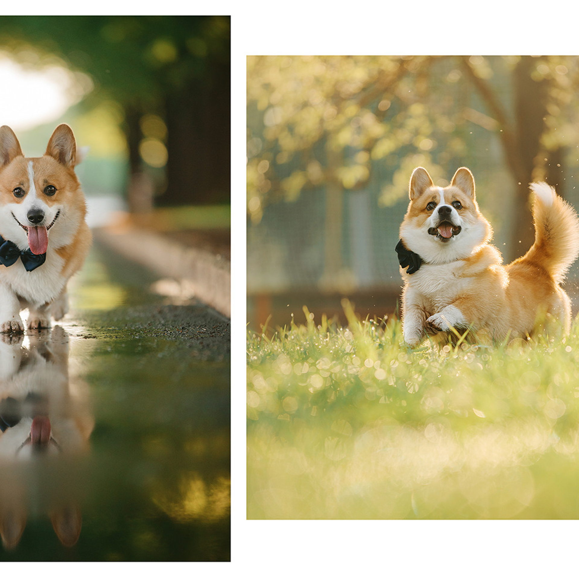 Тим, Ира и Тимур. Фотограф Анна Тюрина