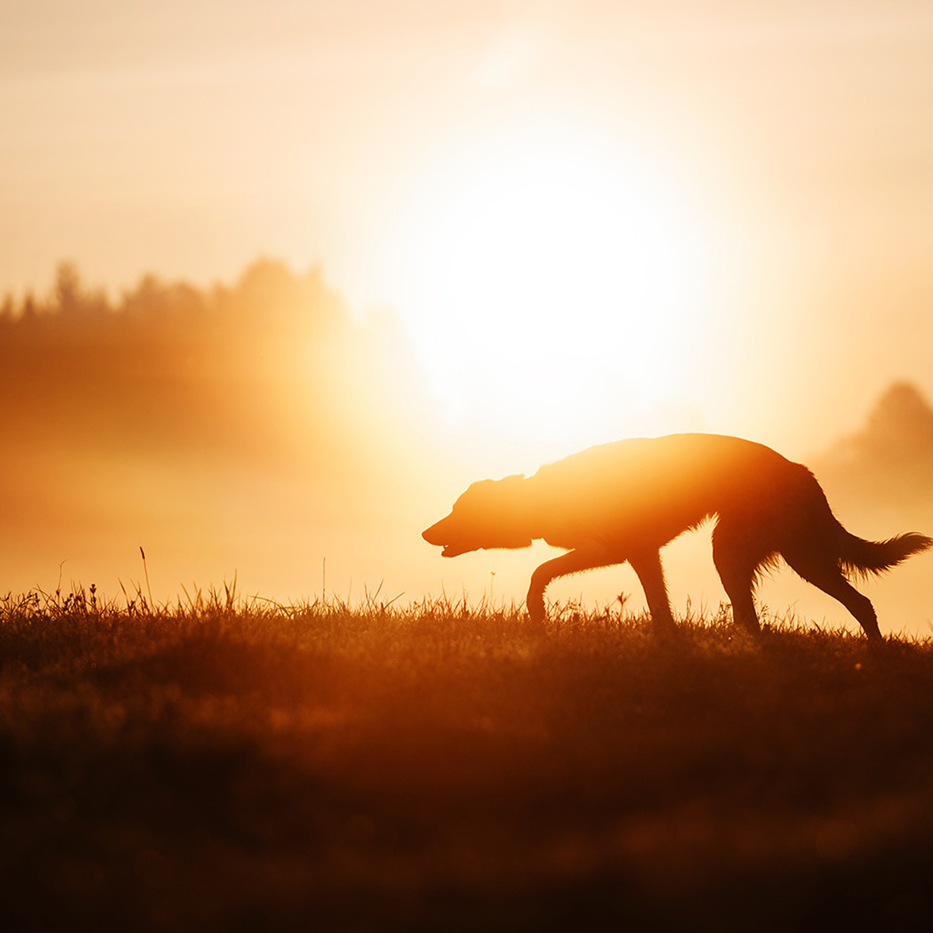 Наталья и Уран. Фотограф Анна Тюрина