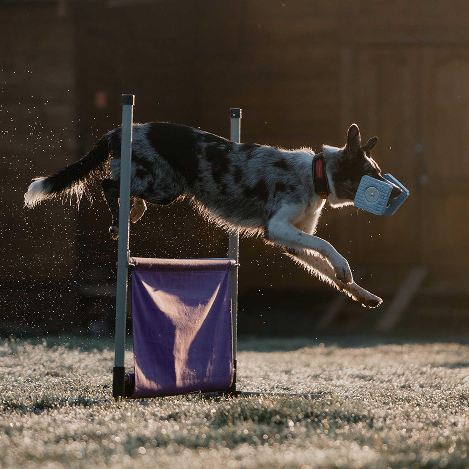 Наталья и Уран. Фотограф Анна Тюрина