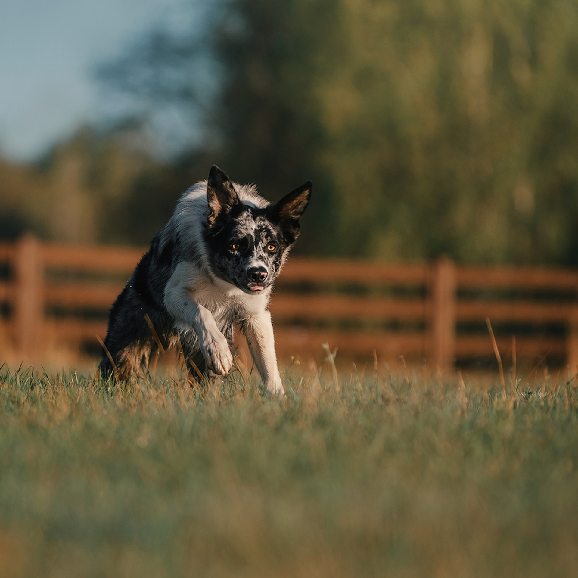 Наталья и Уран. Фотограф Анна Тюрина