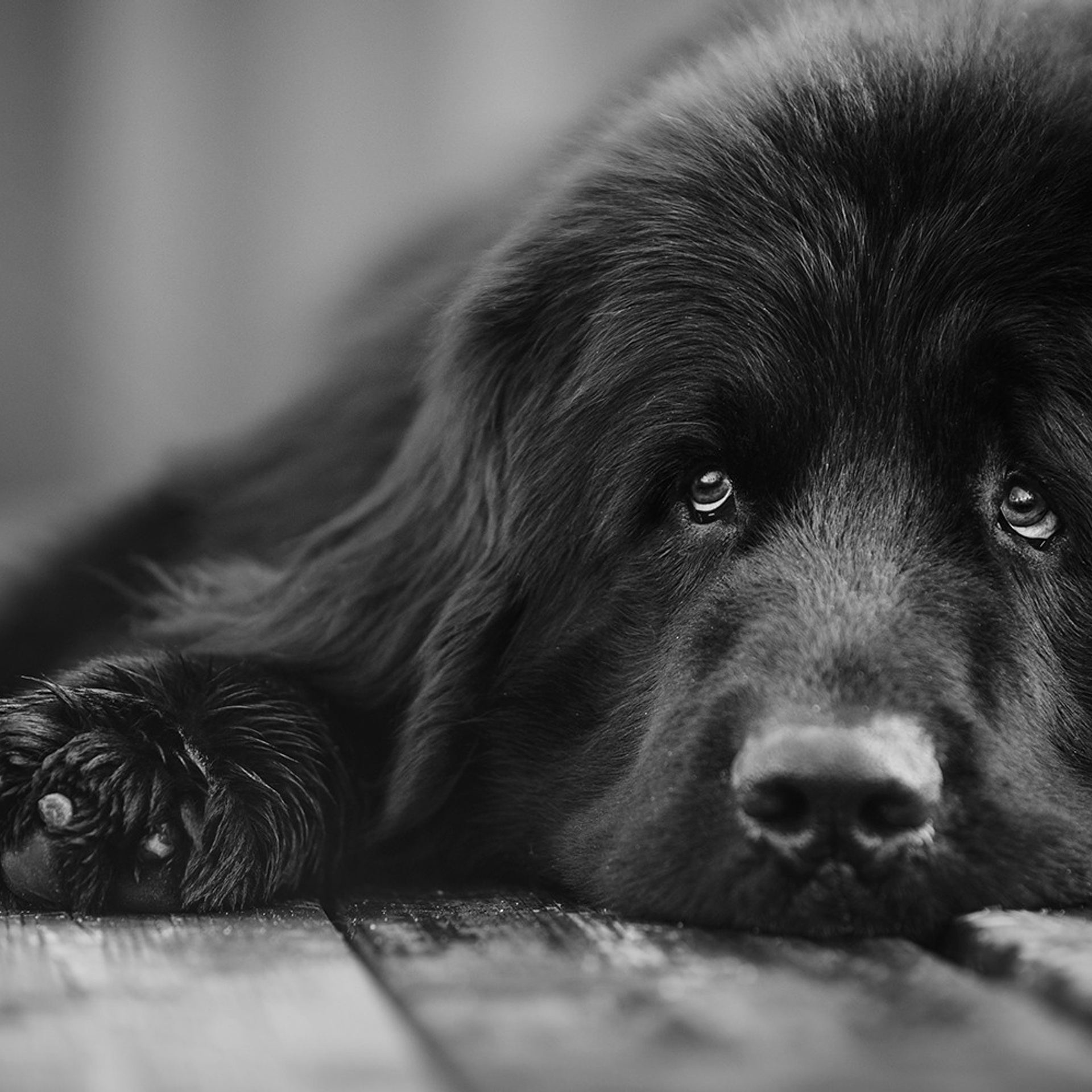 Виктория и Дейл. Фотограф Анна Тюрина