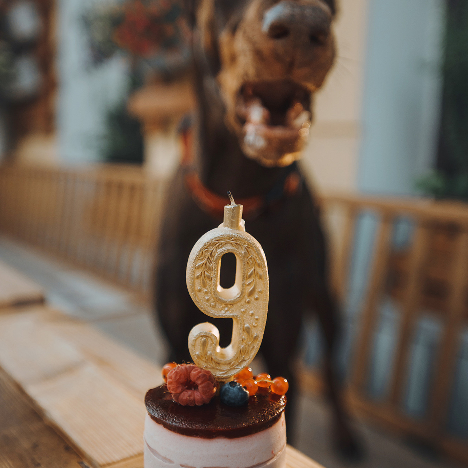 Алина, Линар и Детта в Нижнем Новгороде. Фотограф Анна Тюрина