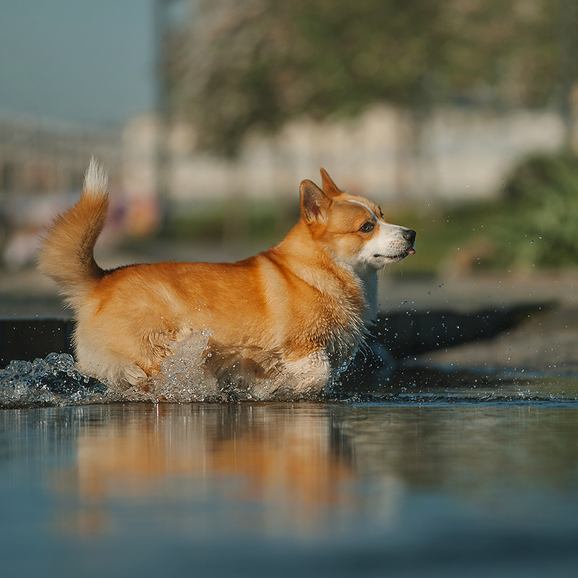 Тим, Ира и Тимур. Фотограф Анна Тюрина