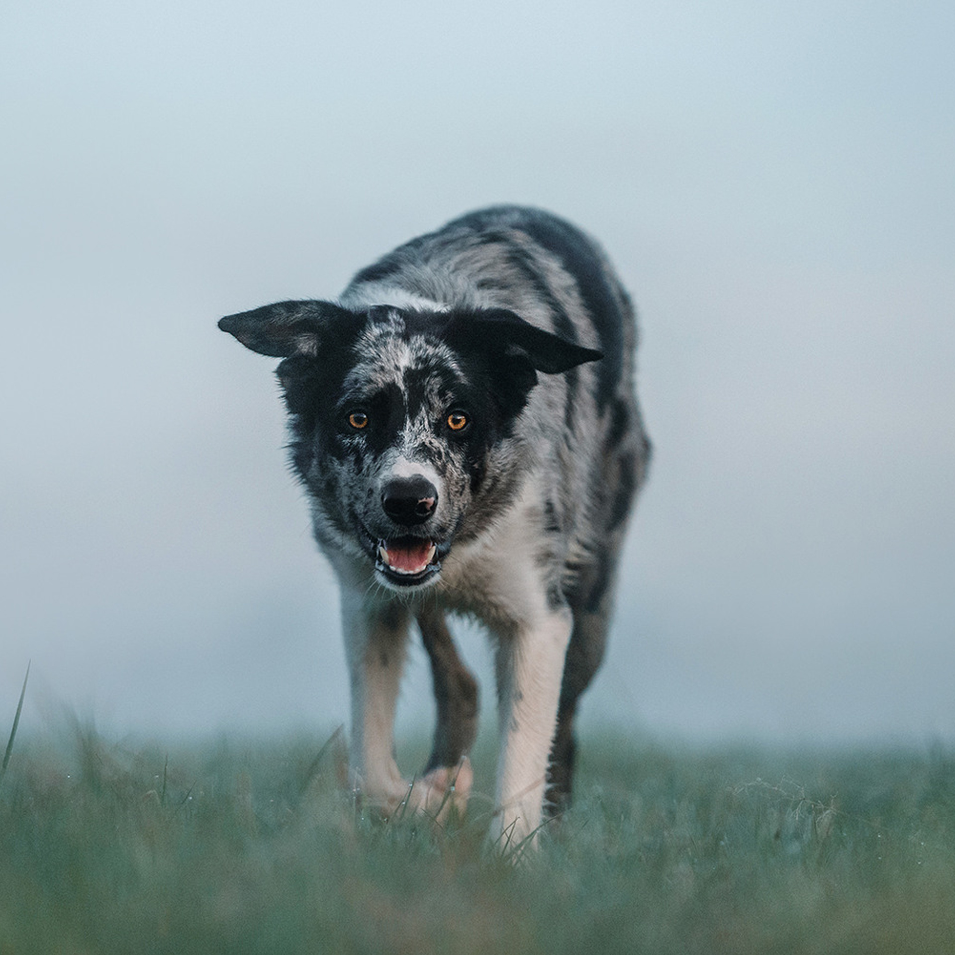 Наталья и Уран. Фотограф Анна Тюрина