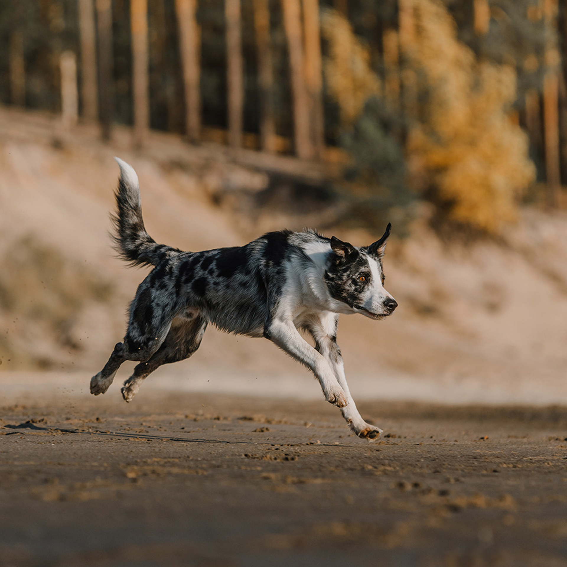 Сева, Даша, Аса, Кит. Фотограф Анна Тюрина