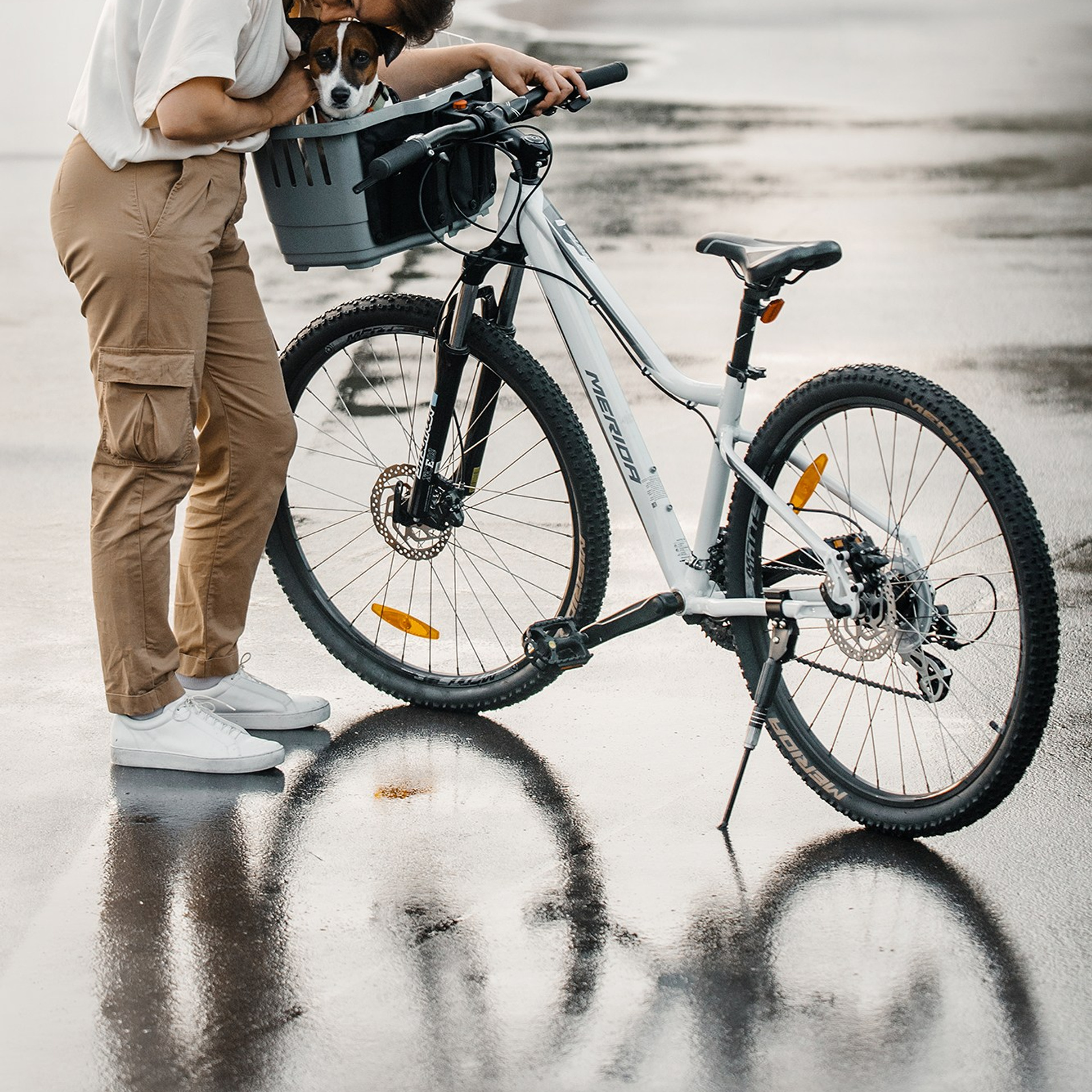 Человек и его друзья. Фотограф Анна Тюрина