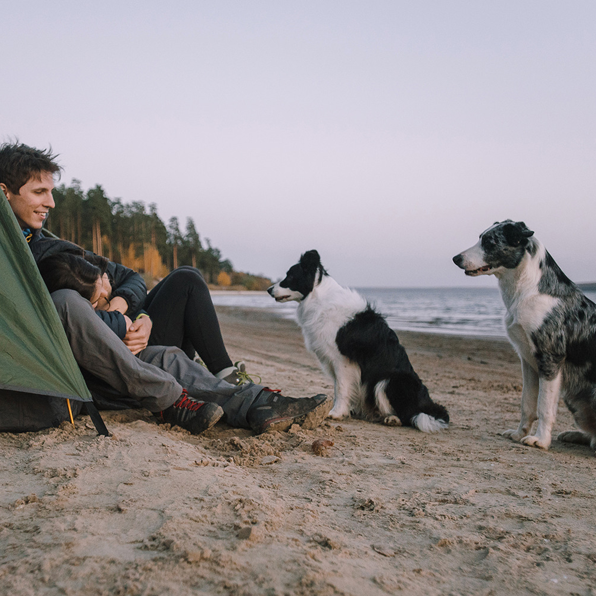 Сева, Даша, Аса, Кит. Фотограф Анна Тюрина
