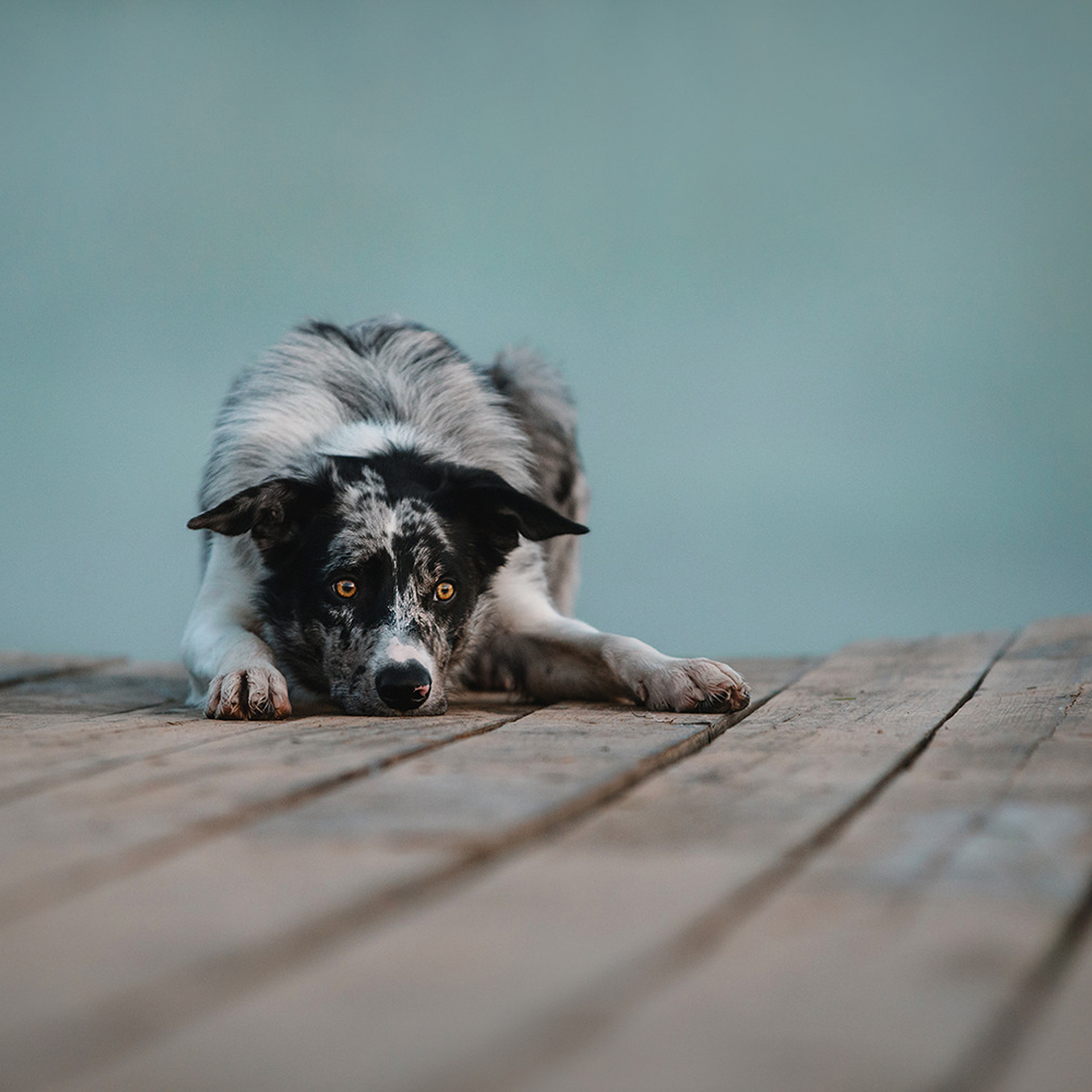 Наталья и Уран. Фотограф Анна Тюрина