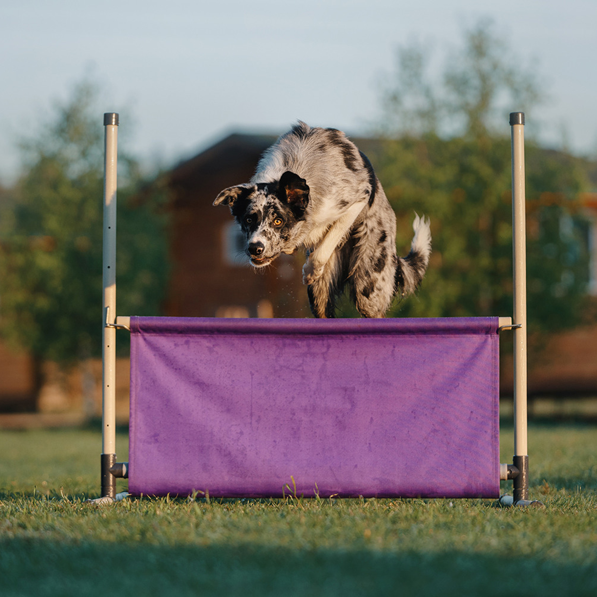 Наталья и Уран. Фотограф Анна Тюрина