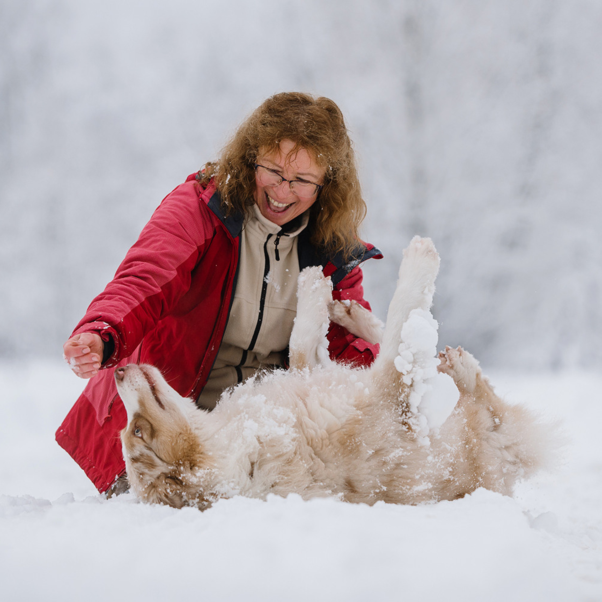 Пастьба в декабре. Фотограф Анна Тюрина