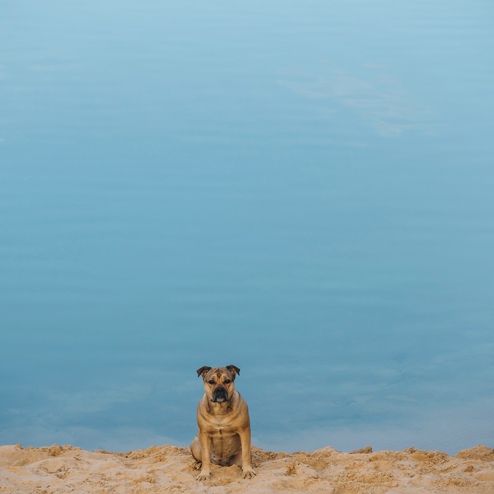 Ка де бо Лина. Фотограф Анна Тюрина