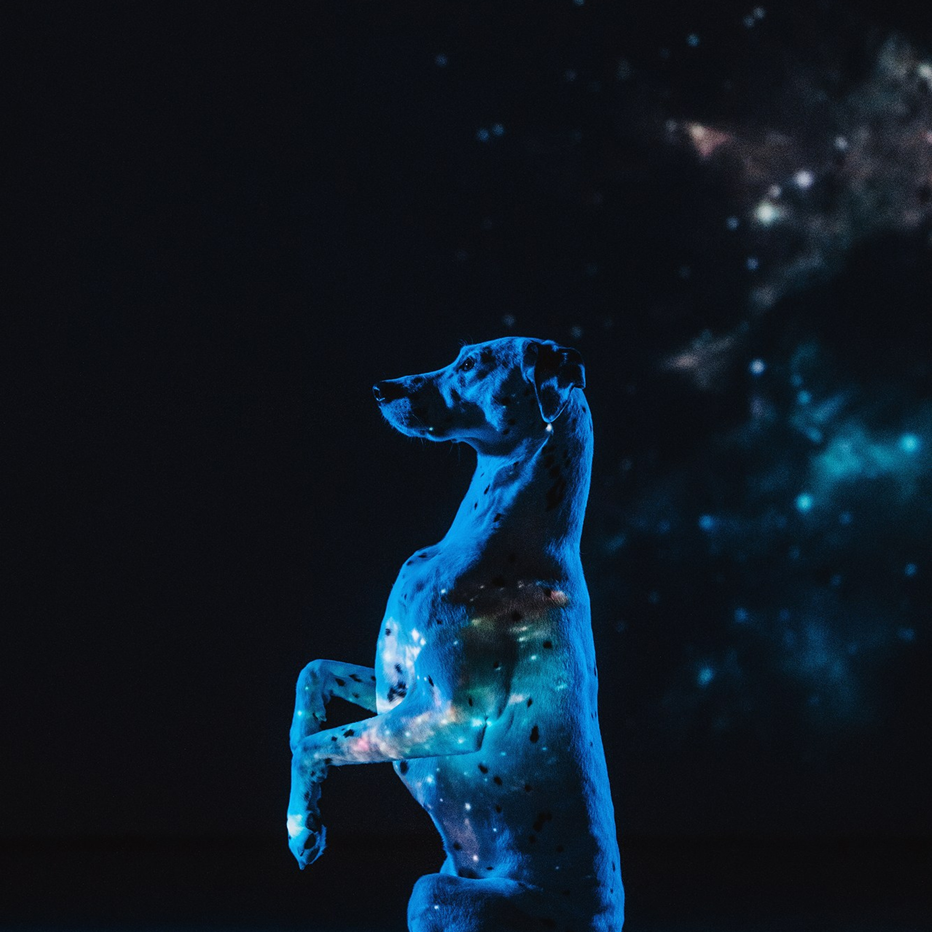 Чистое творчество. Фотограф Анна Тюрина