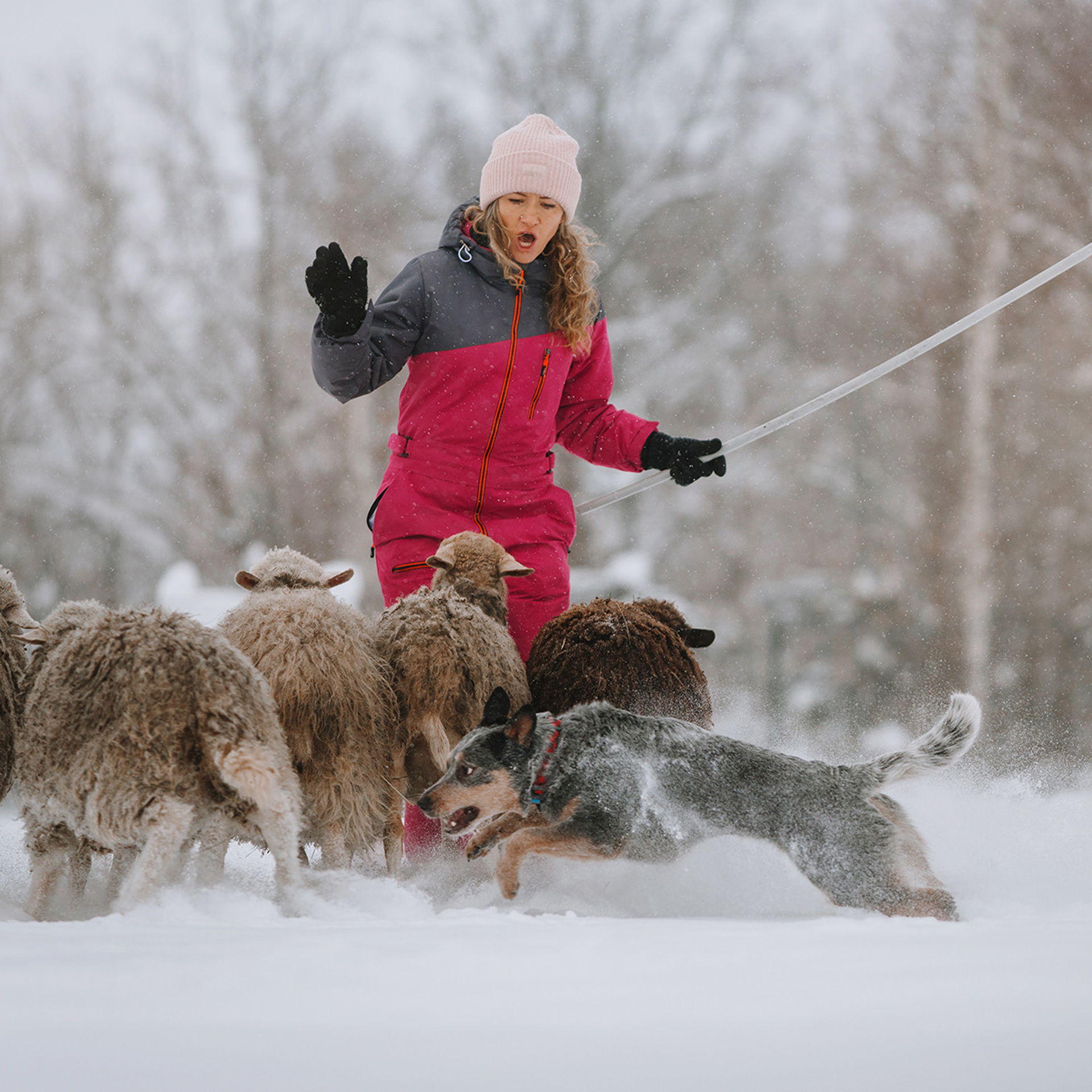 Маша и Дип пасут овец. Фотограф Анна Тюрина