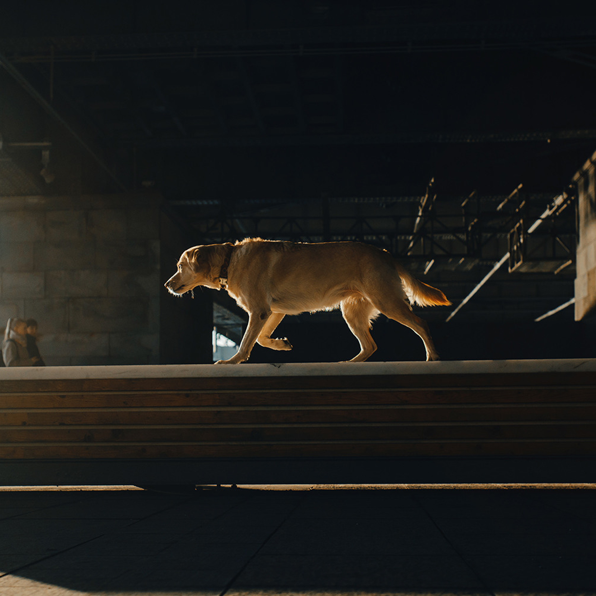 Катя и Фаня. Фотограф Анна Тюрина