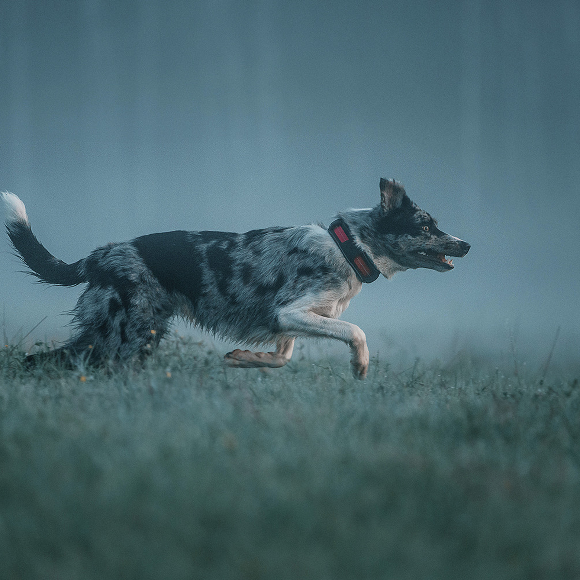 Наталья и Уран. Фотограф Анна Тюрина