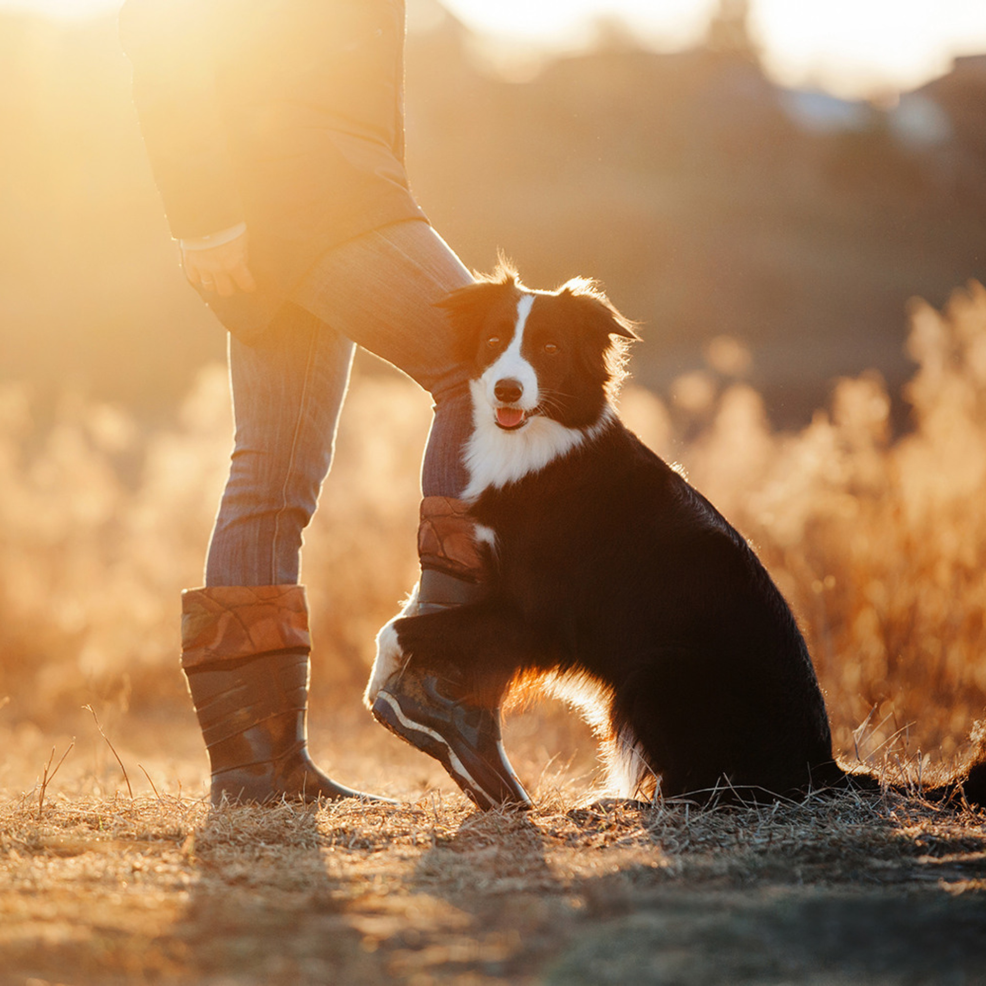 Отзывы. Фотограф Анна Тюрина