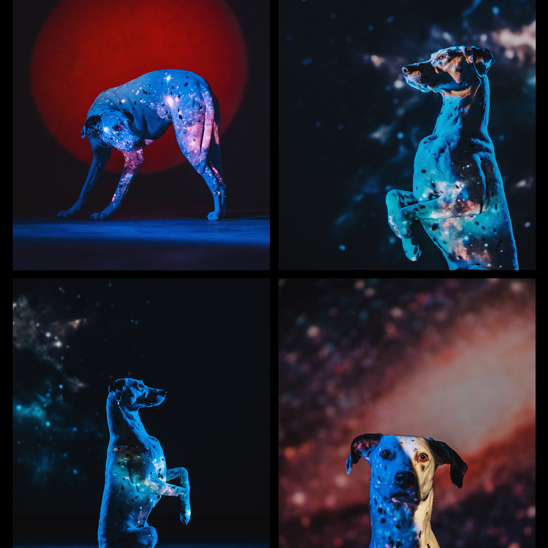 ПОРТФОЛИО. Фотограф Анна Тюрина