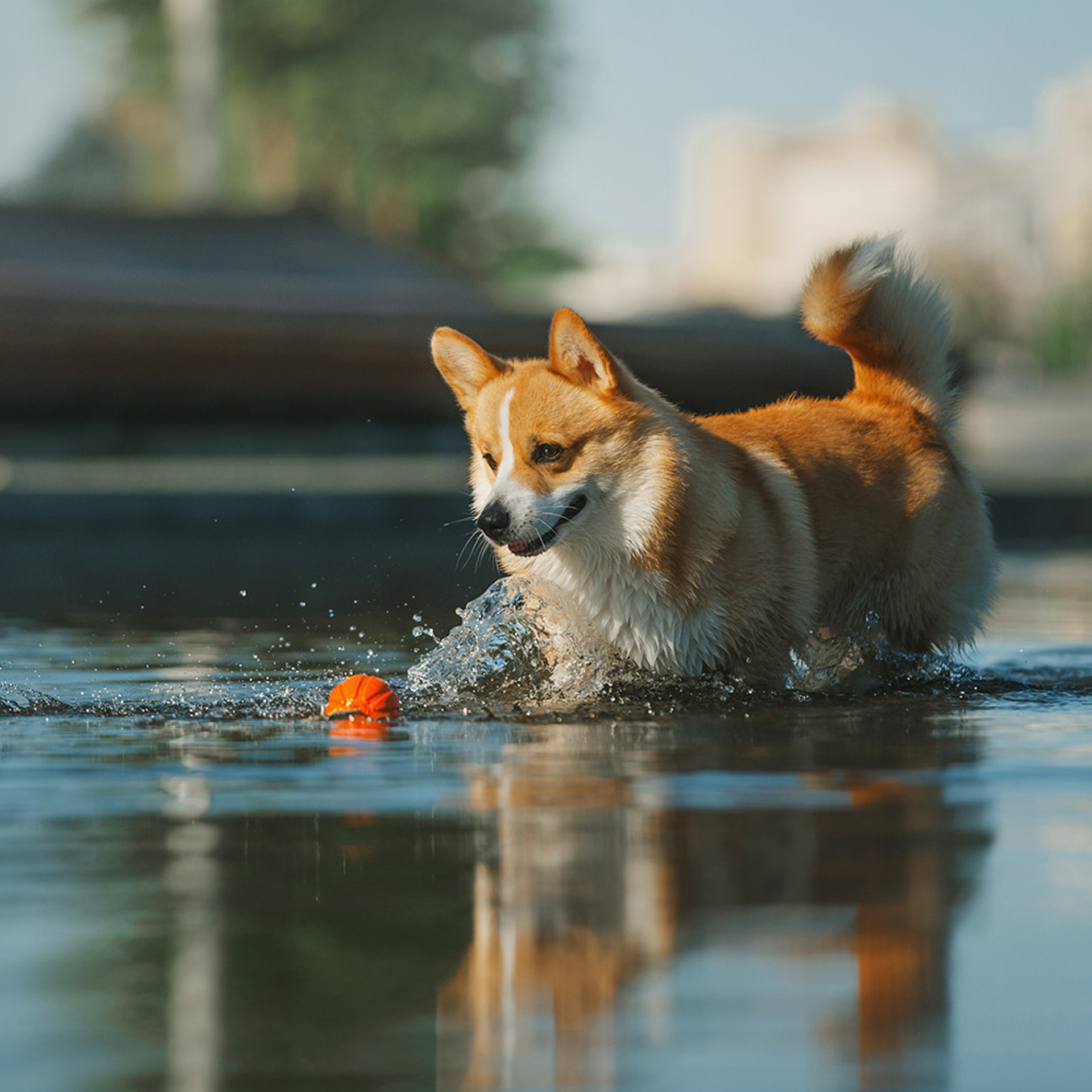 Тим, Ира и Тимур. Фотограф Анна Тюрина