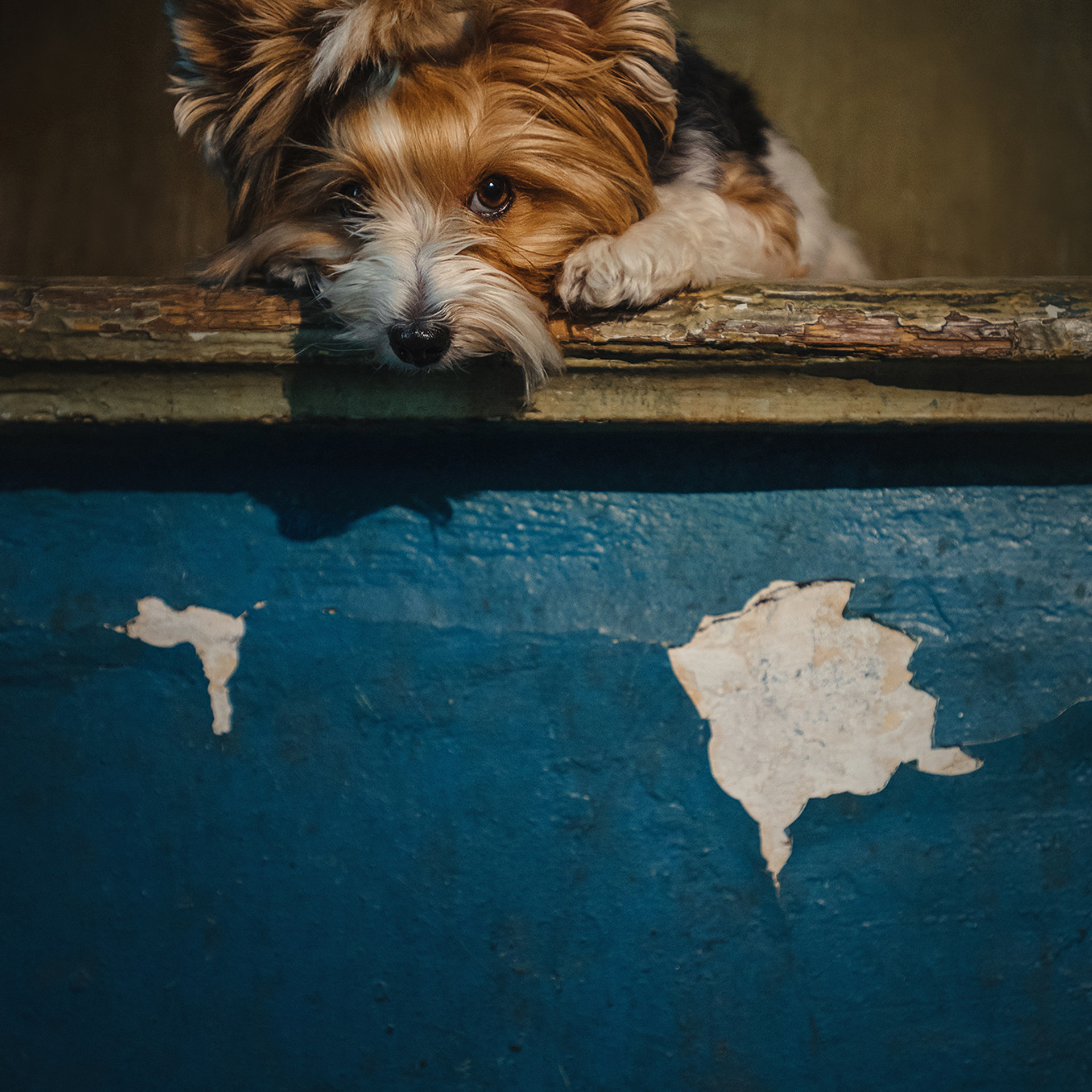 Алина и Яся. Фотограф Анна Тюрина