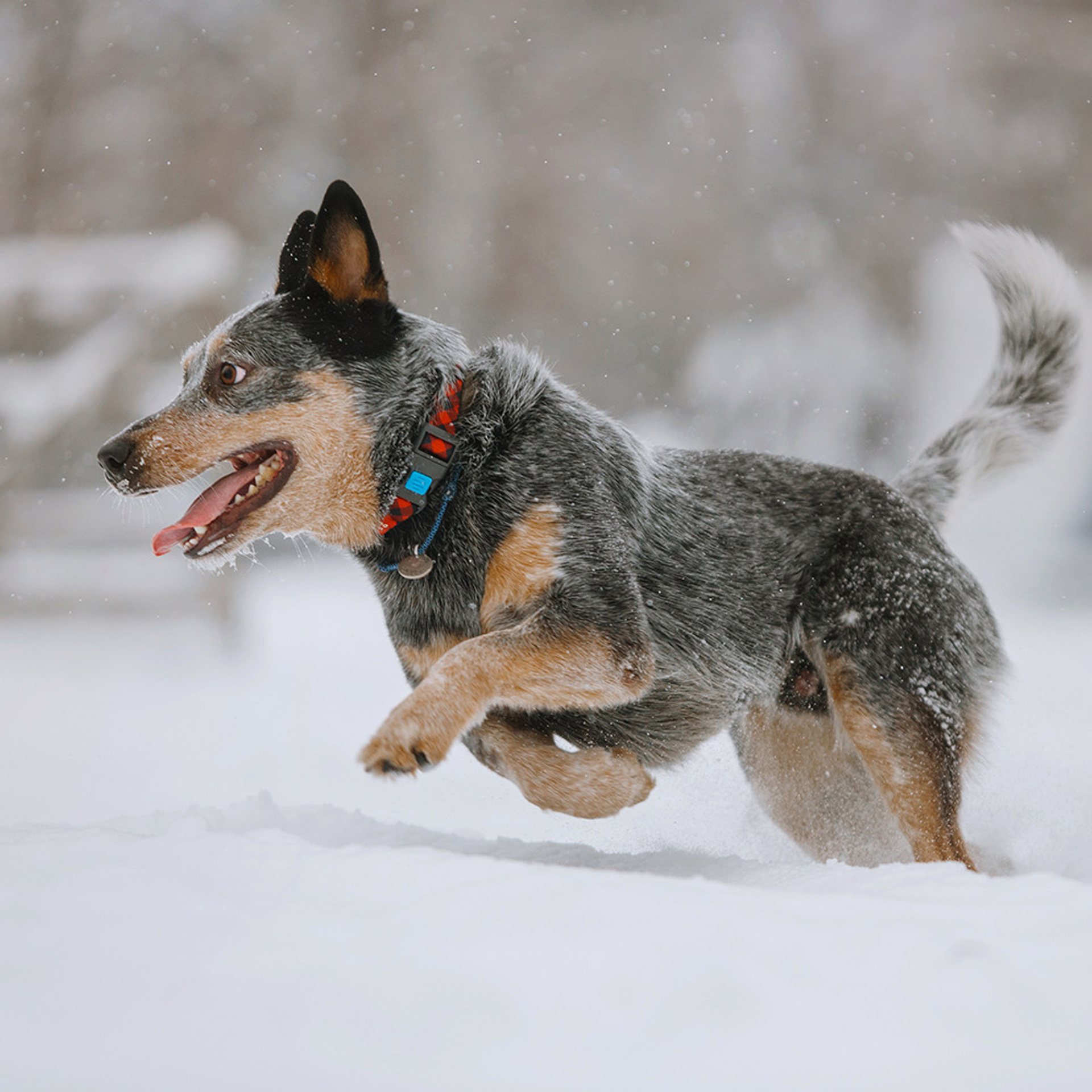 Маша и Дип пасут овец. Фотограф Анна Тюрина