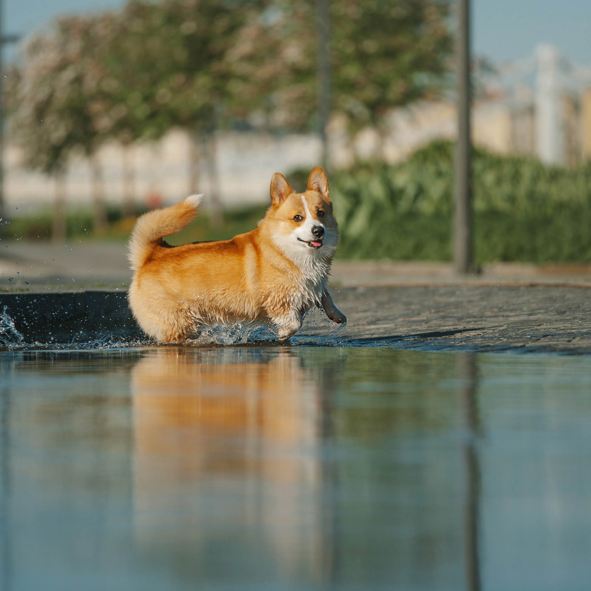 Тим, Ира и Тимур. Фотограф Анна Тюрина