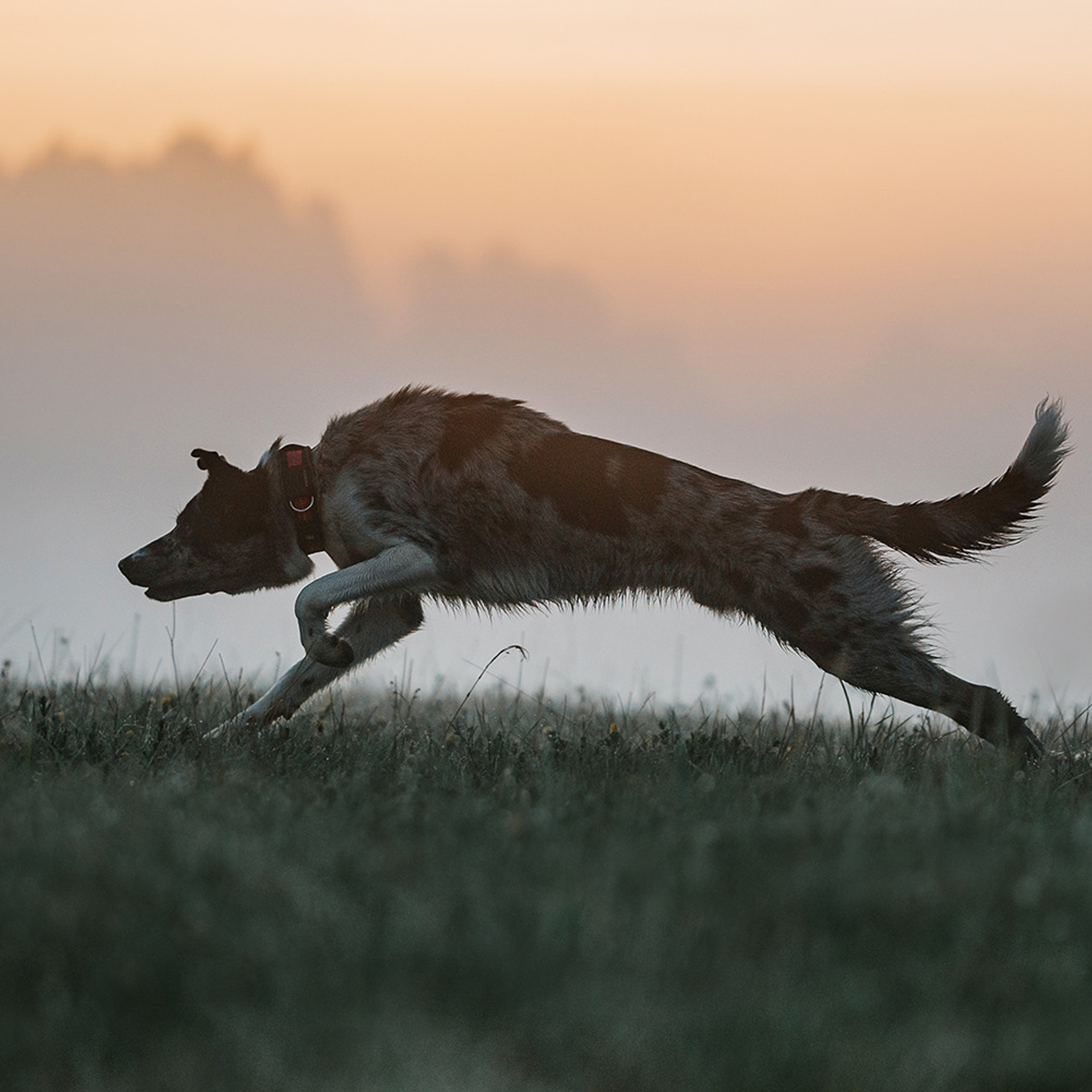 Наталья и Уран. Фотограф Анна Тюрина