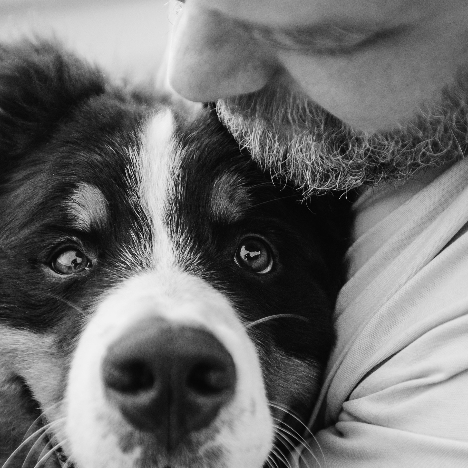 Оля и семья. Фотограф Анна Тюрина