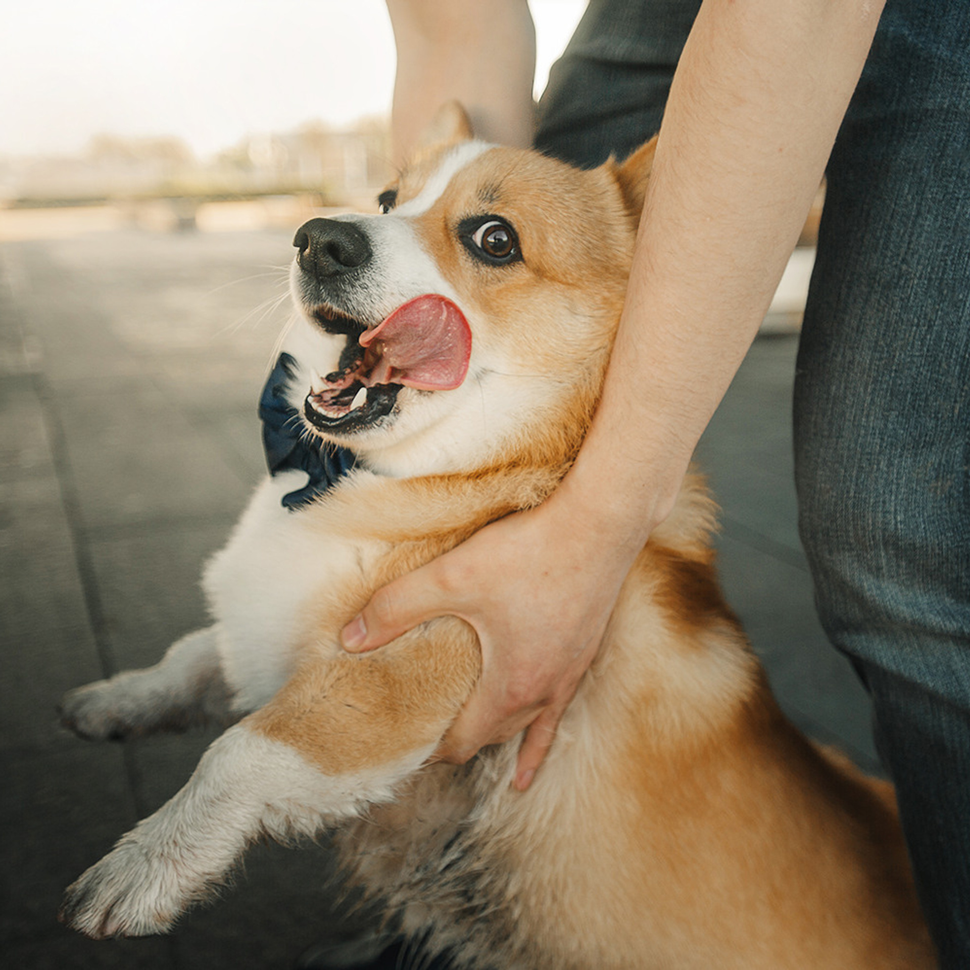 Тим, Ира и Тимур. Фотограф Анна Тюрина