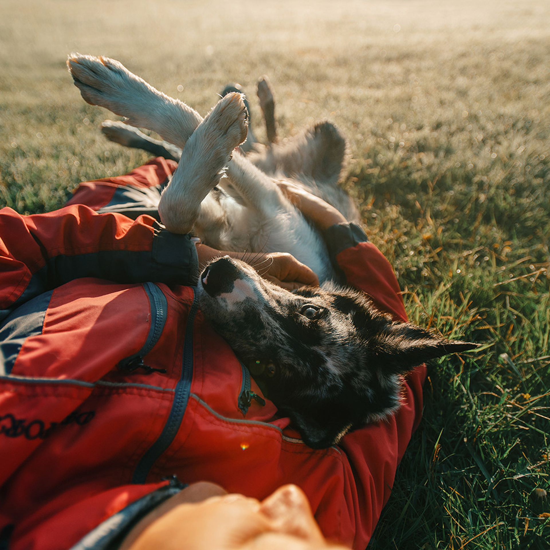Наталья и Уран. Фотограф Анна Тюрина