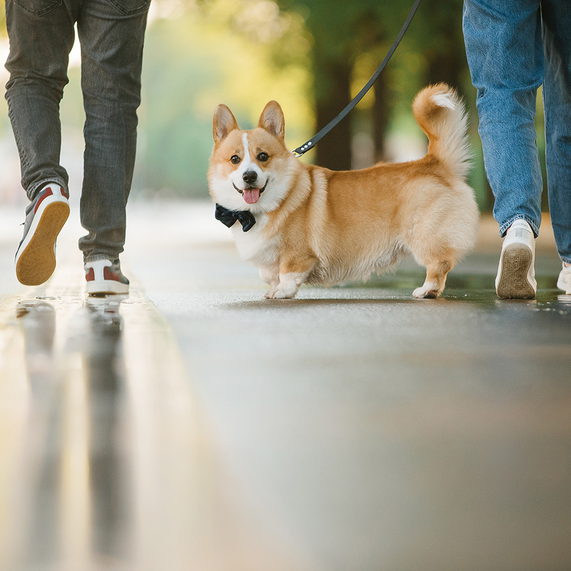 Тим, Ира и Тимур. Фотограф Анна Тюрина